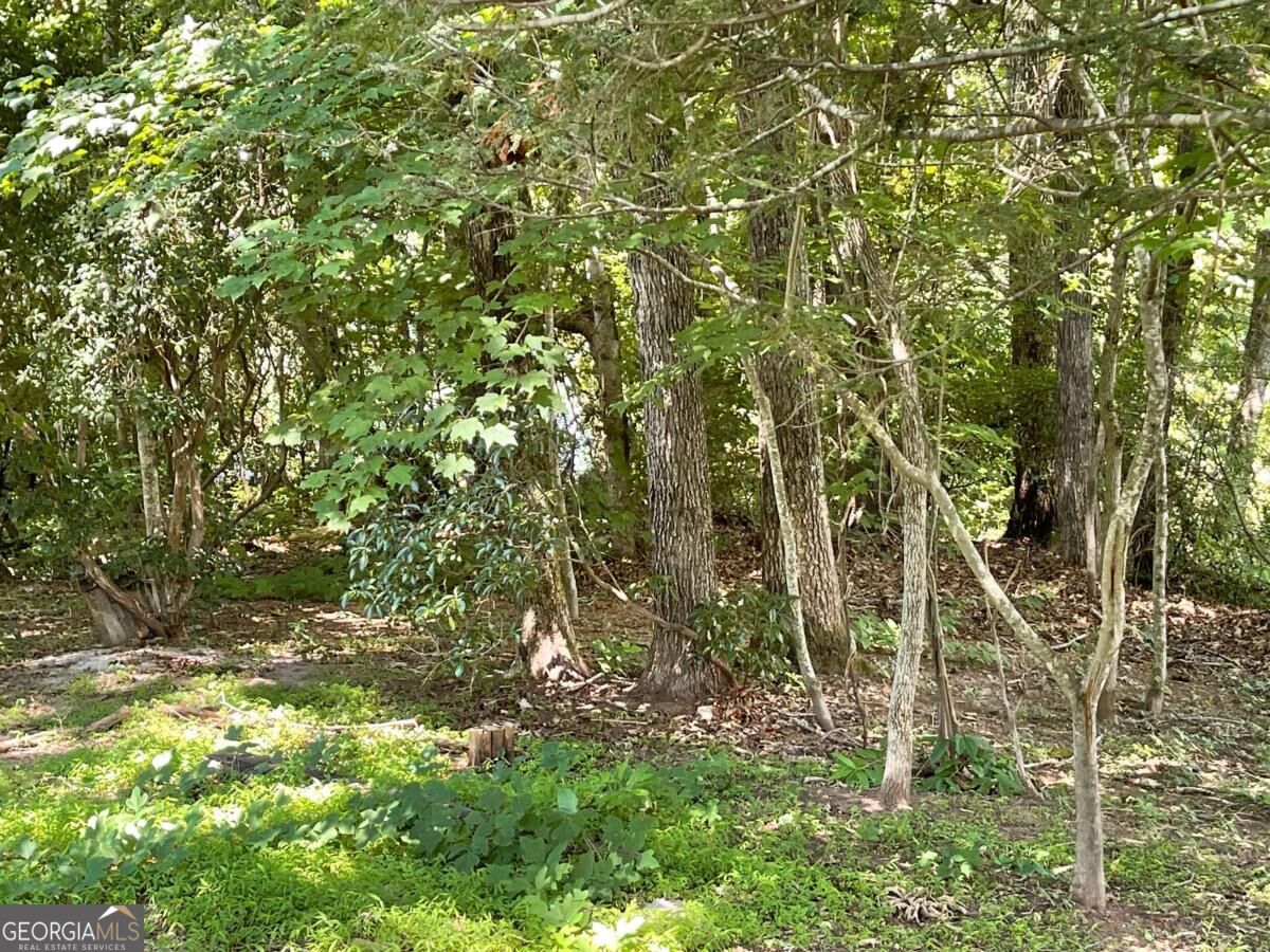 Lot 5 Old Hwy 64 E Property Photo 9