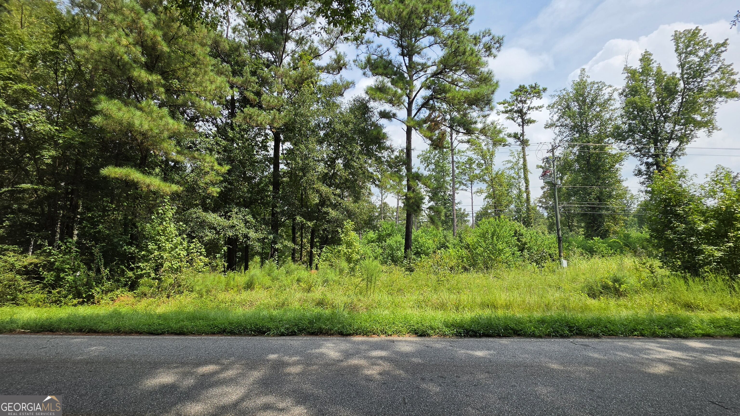 7127 New Forsyth Rd Property Photo 1