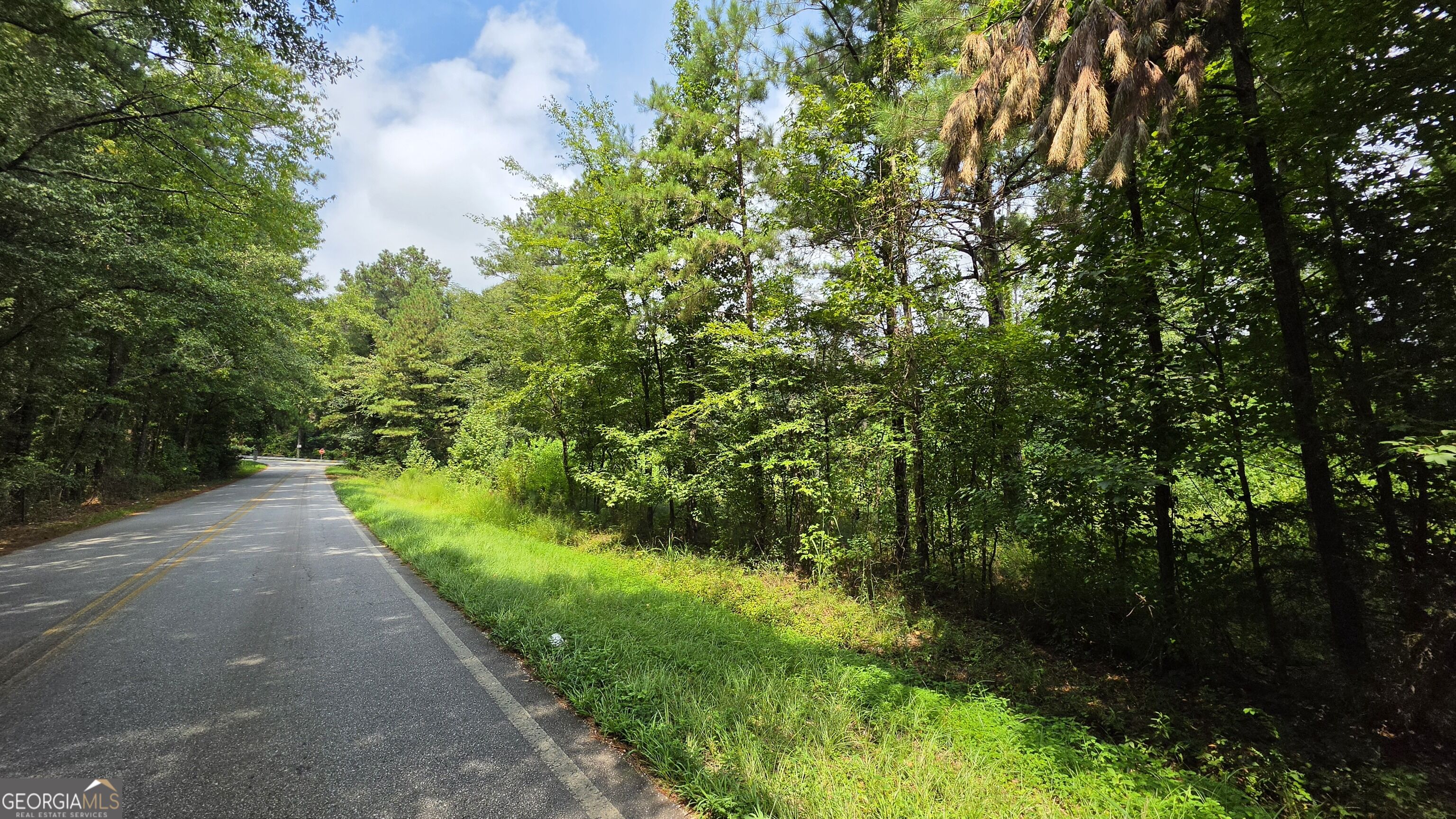 7127 New Forsyth Road Property Photo 3