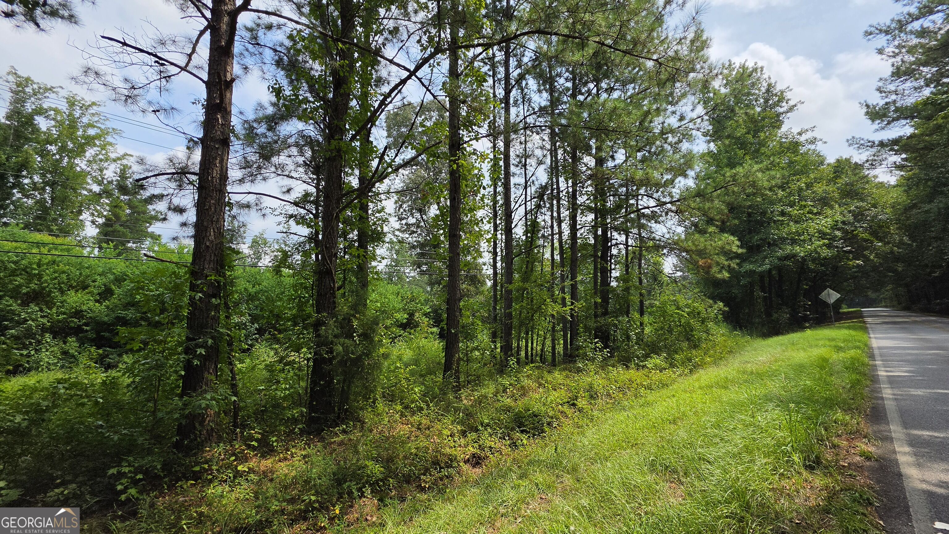 7127 New Forsyth Road Property Photo 4
