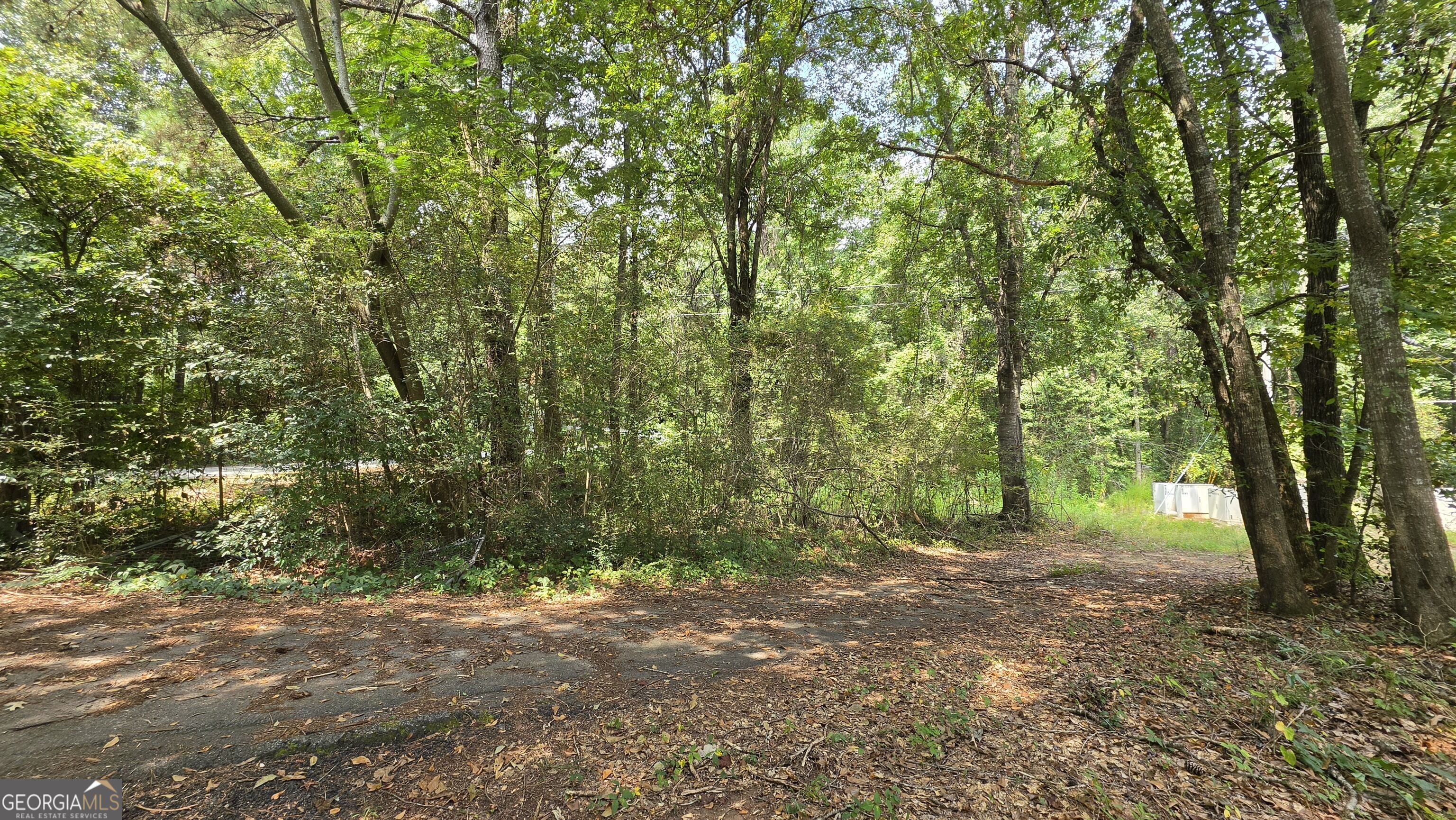 7127 New Forsyth Road Property Photo 5