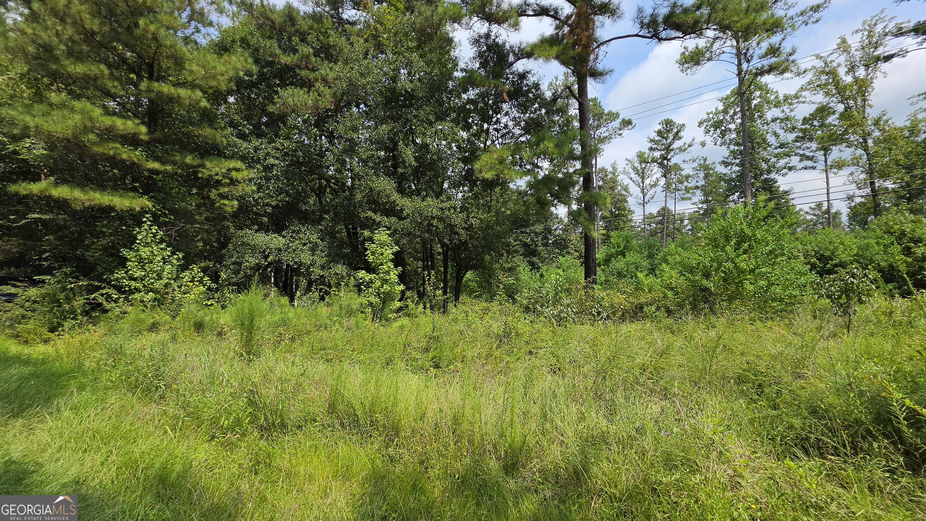 7127 New Forsyth Road Property Photo 7