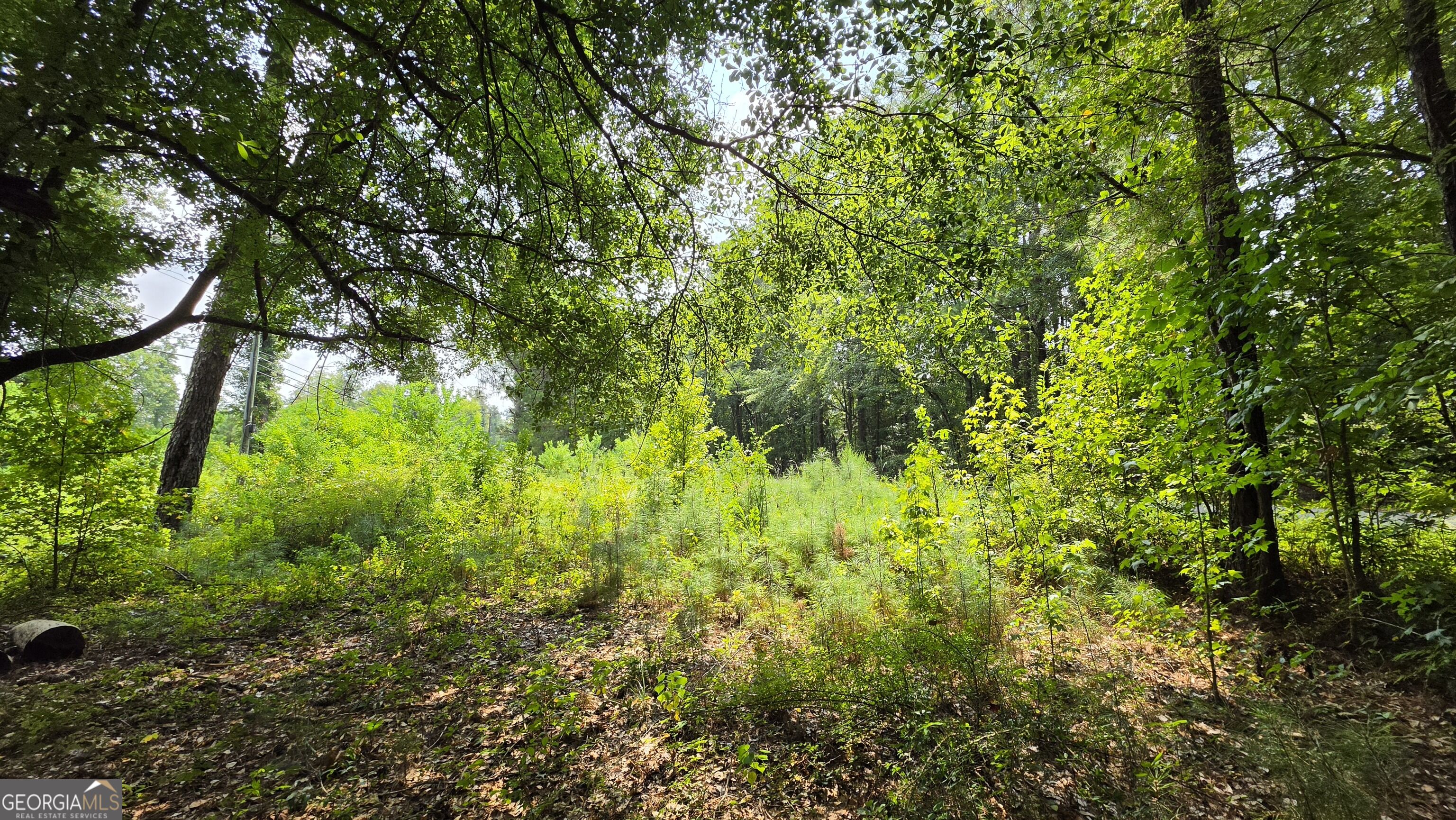 7127 New Forsyth Road Property Photo 9