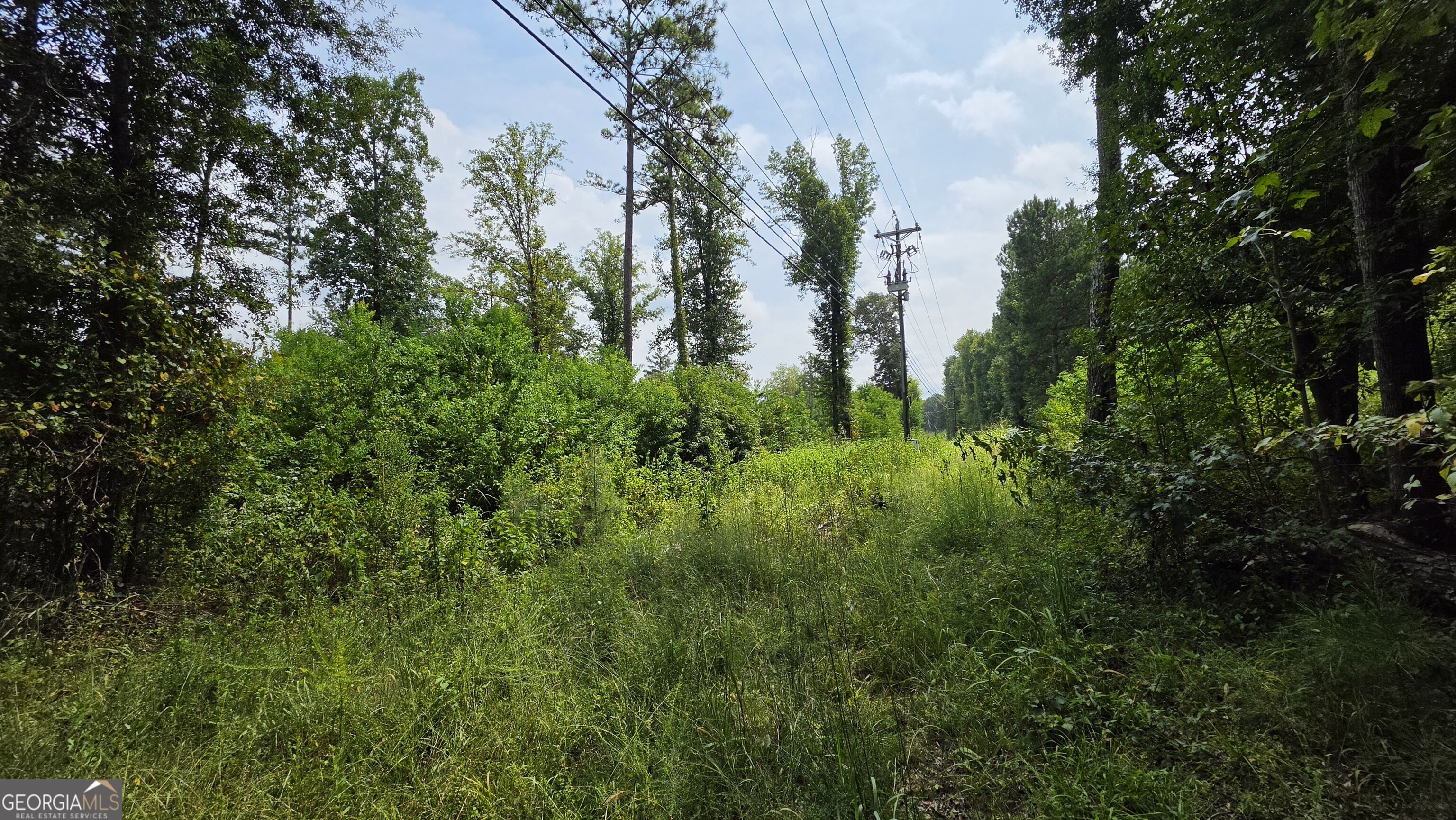 7127 New Forsyth Road Property Photo 10