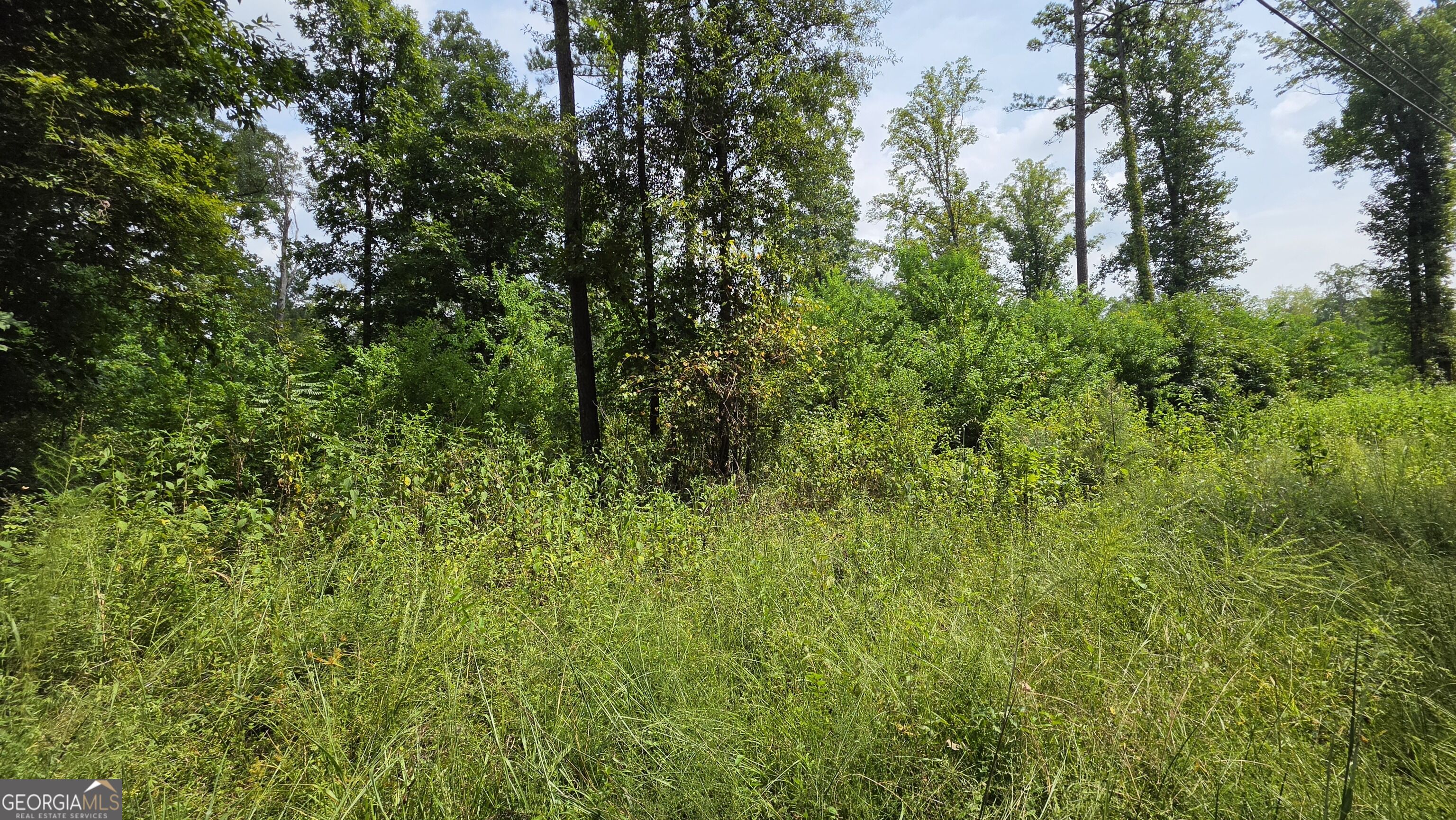 7127 New Forsyth Road Property Photo 11