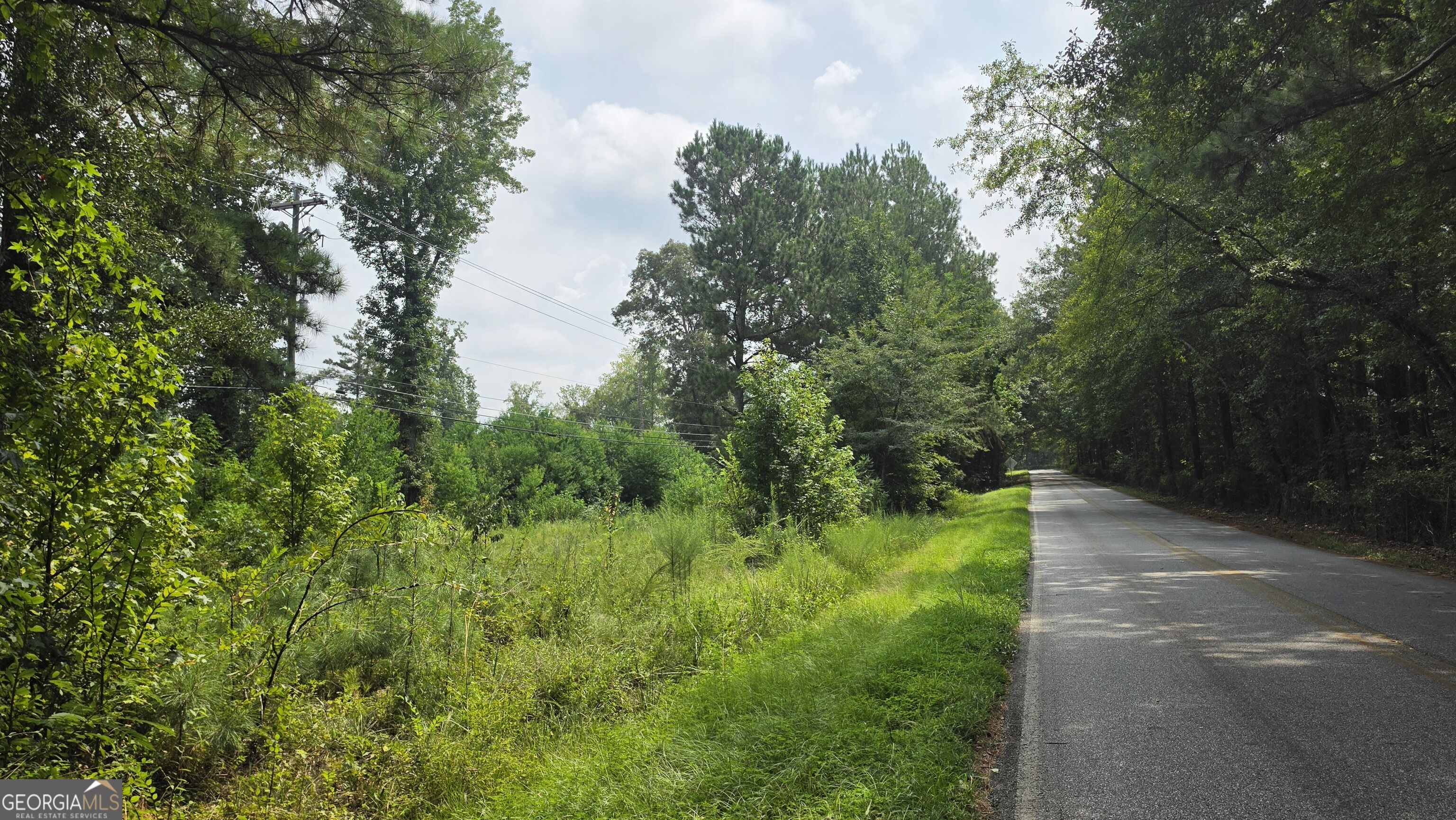 7127 New Forsyth Road Property Photo 12