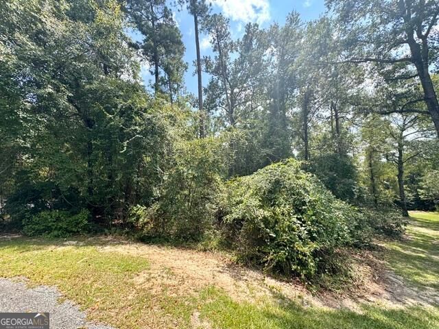 Lot 16 Old Mill Way Property Photo 4