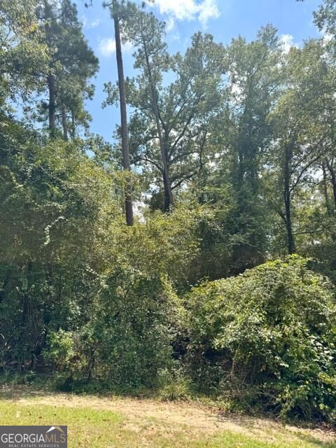 Lot 16 Old Mill Way Property Photo 5