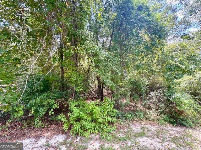 Lot 18 Old Mill Way Property Photo 4