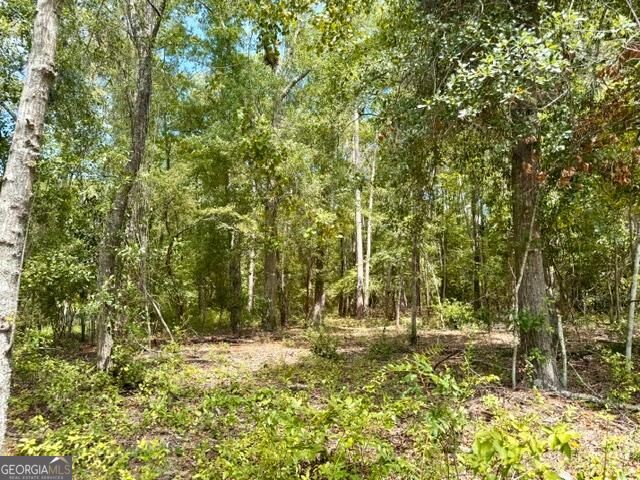 Lot 18 Old Mill Way Property Photo 5