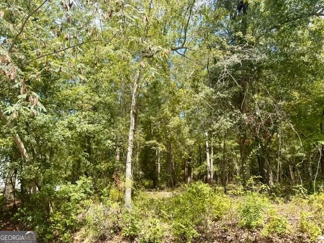 Lot 18 Old Mill Way Property Photo 6
