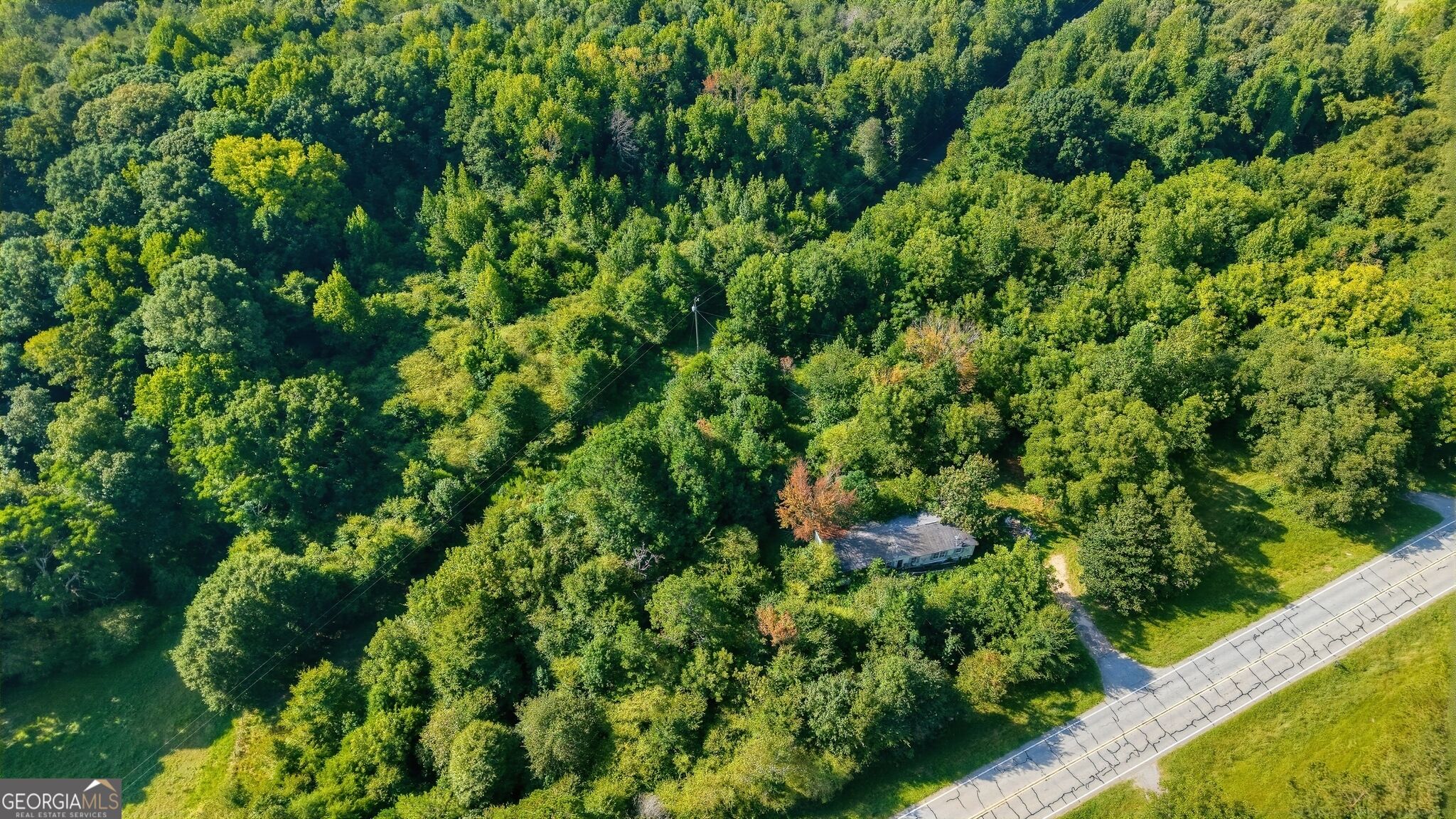 1210 Highway 63 Property Photo 2