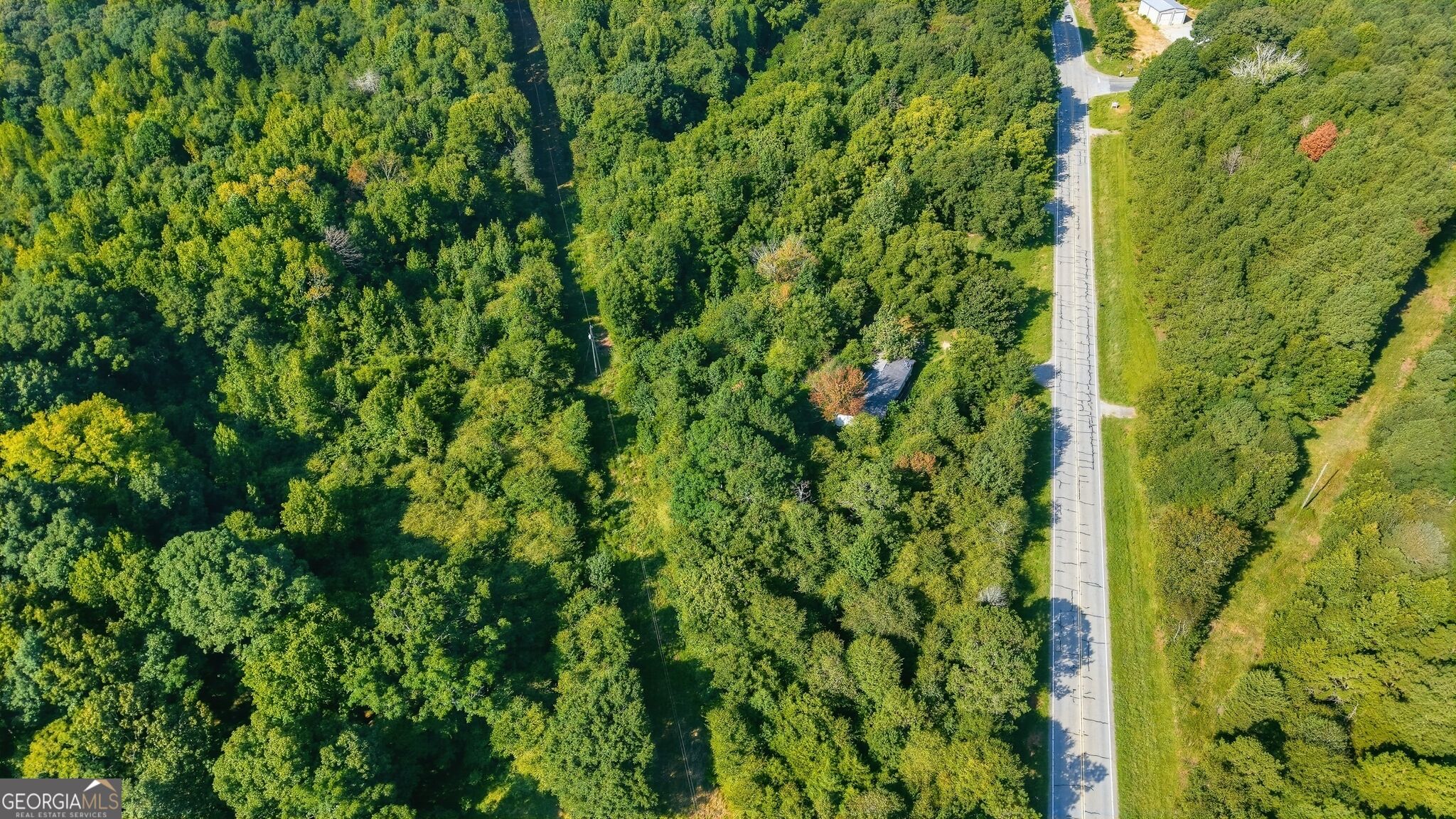 1210 Highway 63 Property Photo 3