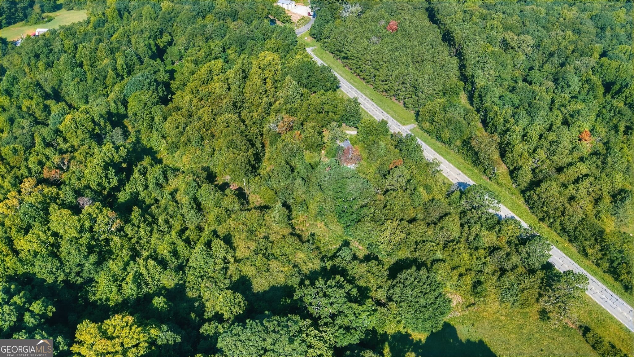 1210 Highway 63 Property Photo 4