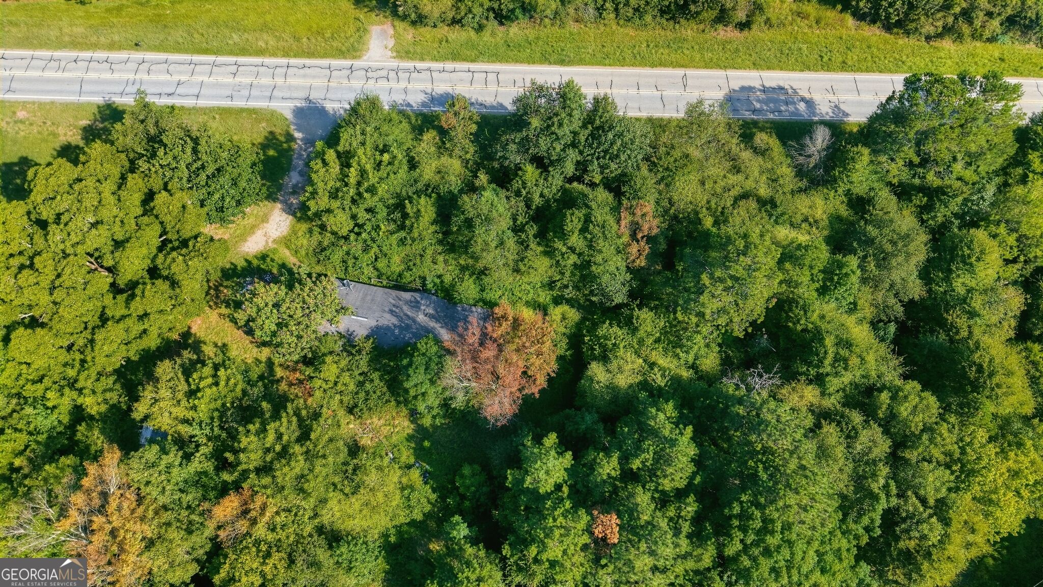 1210 Highway 63 Property Photo 11