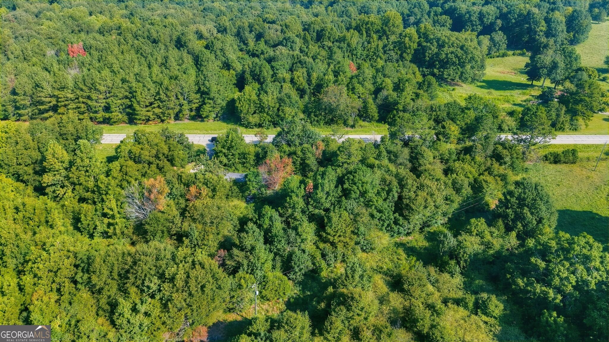 1210 Highway 63 Property Photo 12