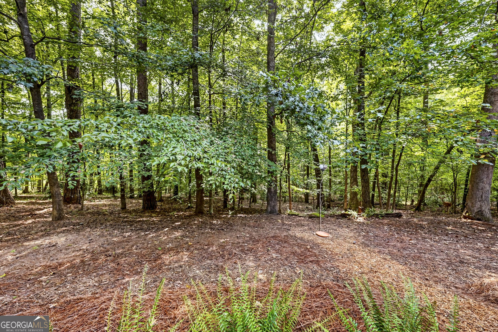 126 Morgan Drive Property Photo 58