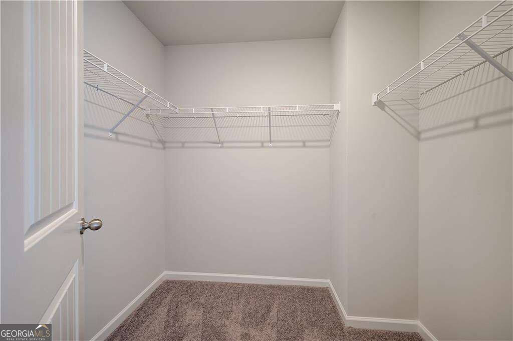 163 Dalston Cove Property Photo 26