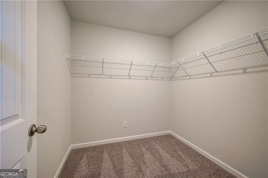 163 Dalston Cove Property Photo 30