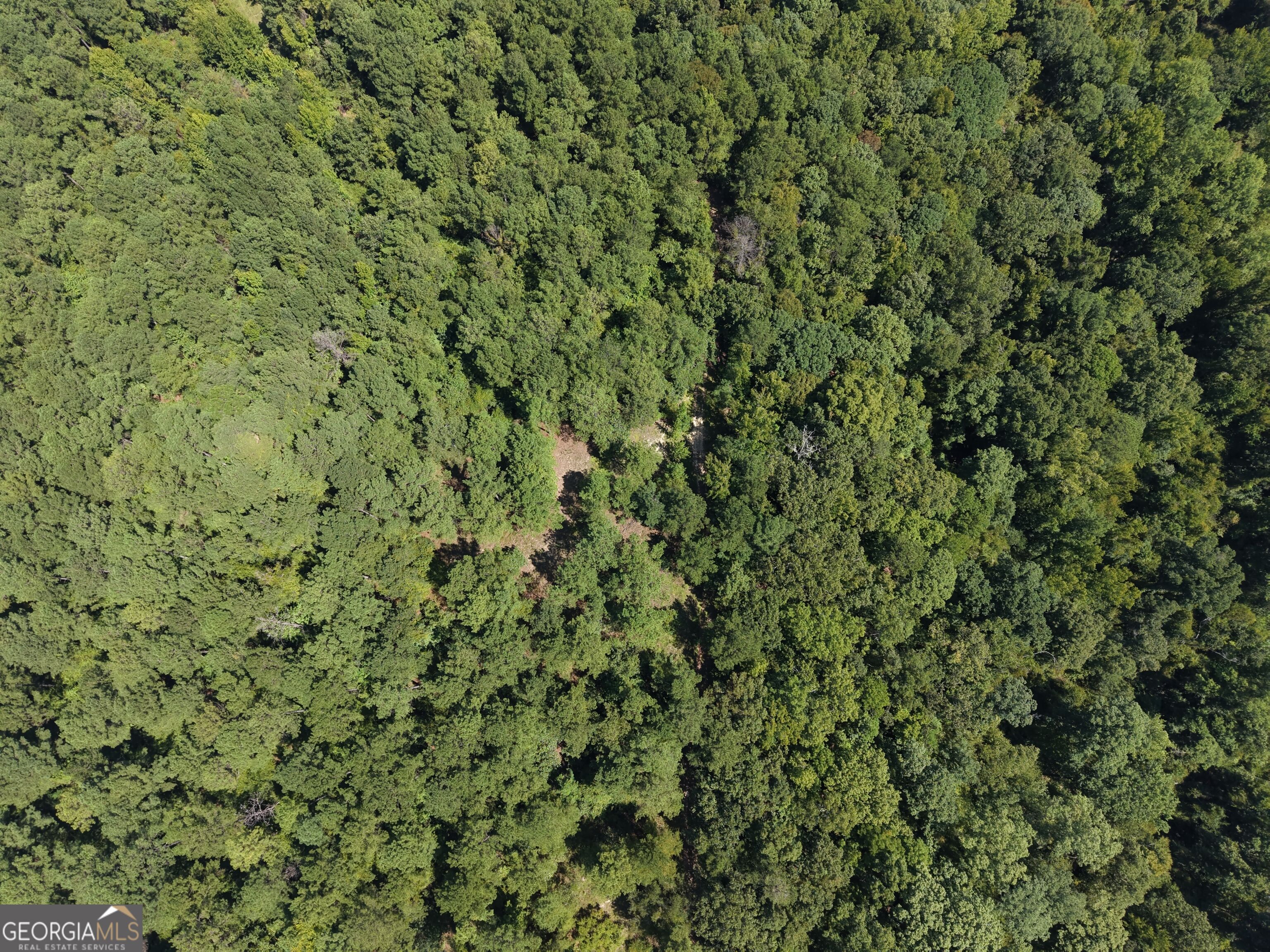 0 Highway 102 Property Photo 8