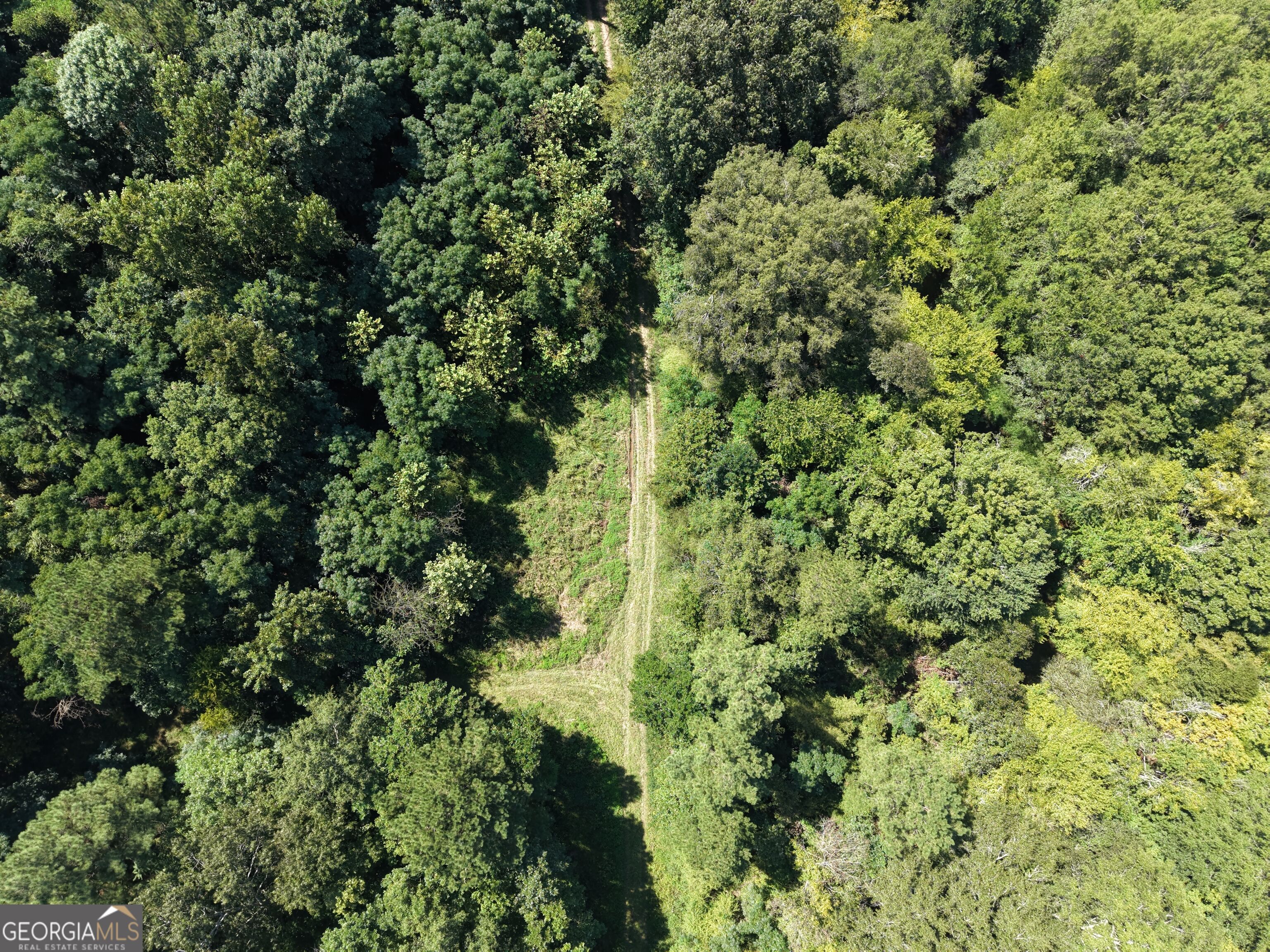 0 Highway 102 Property Photo 9