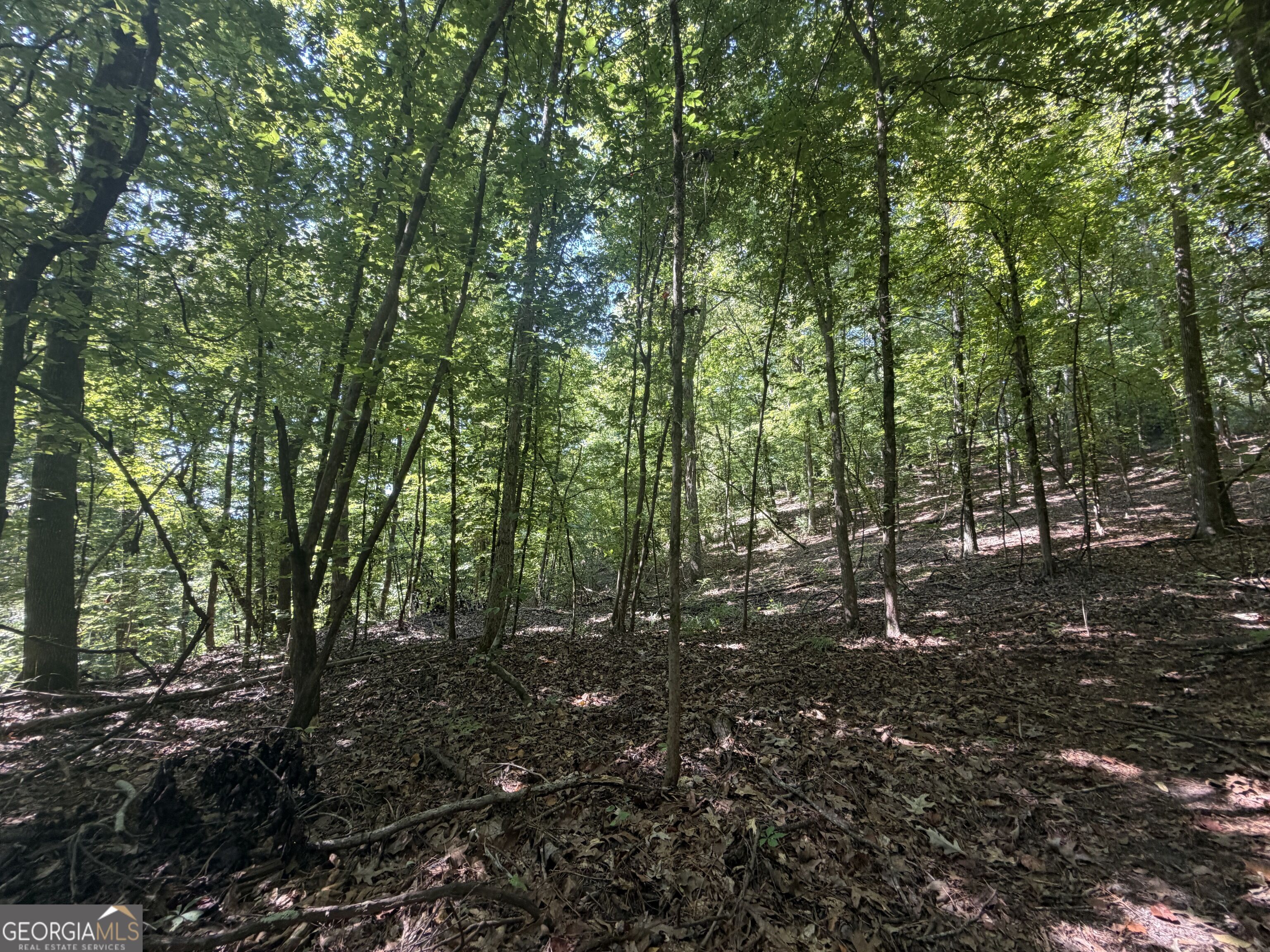 0 Highway 102 Property Photo 22