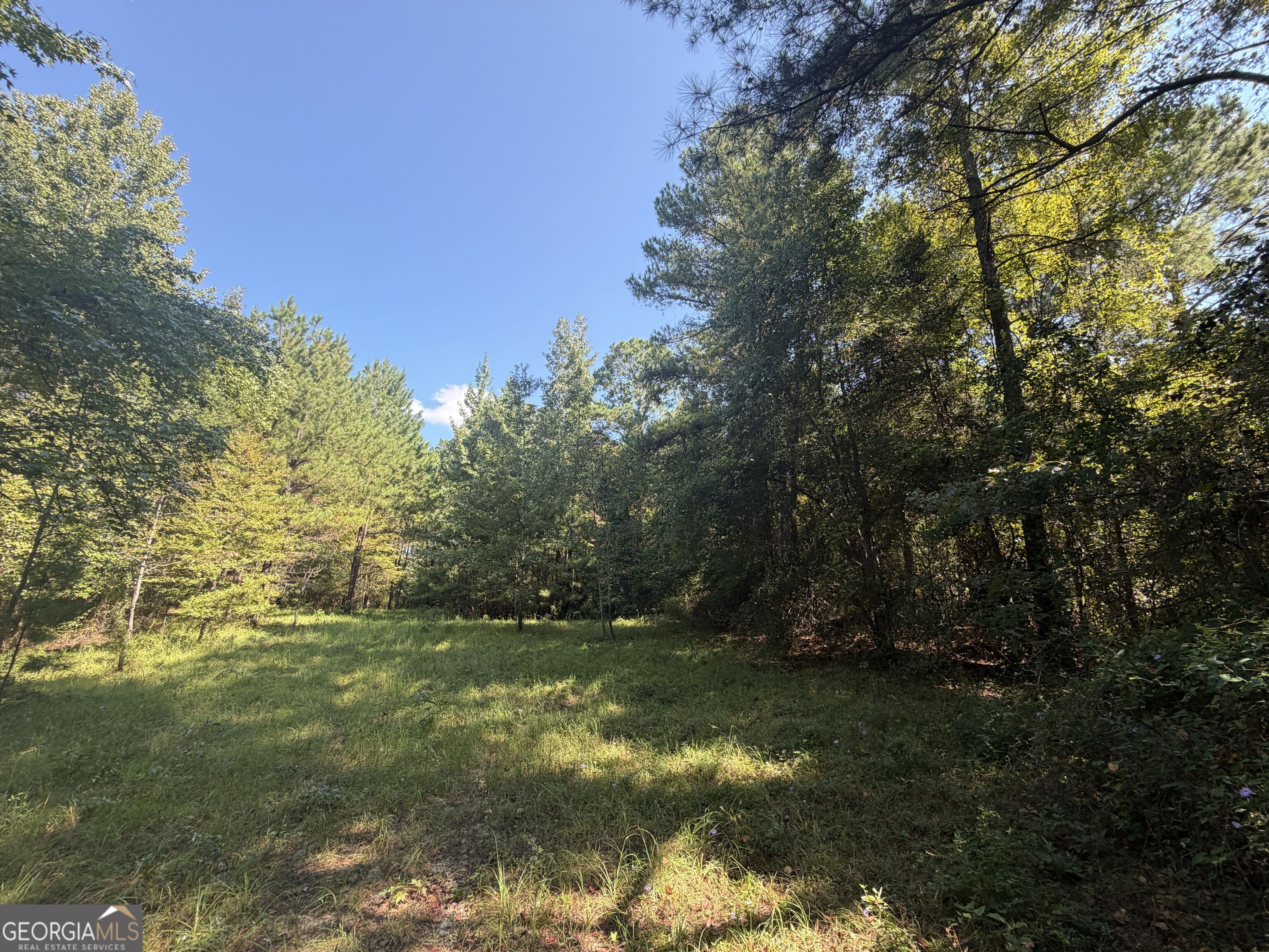 0 Highway 102 Property Photo 23