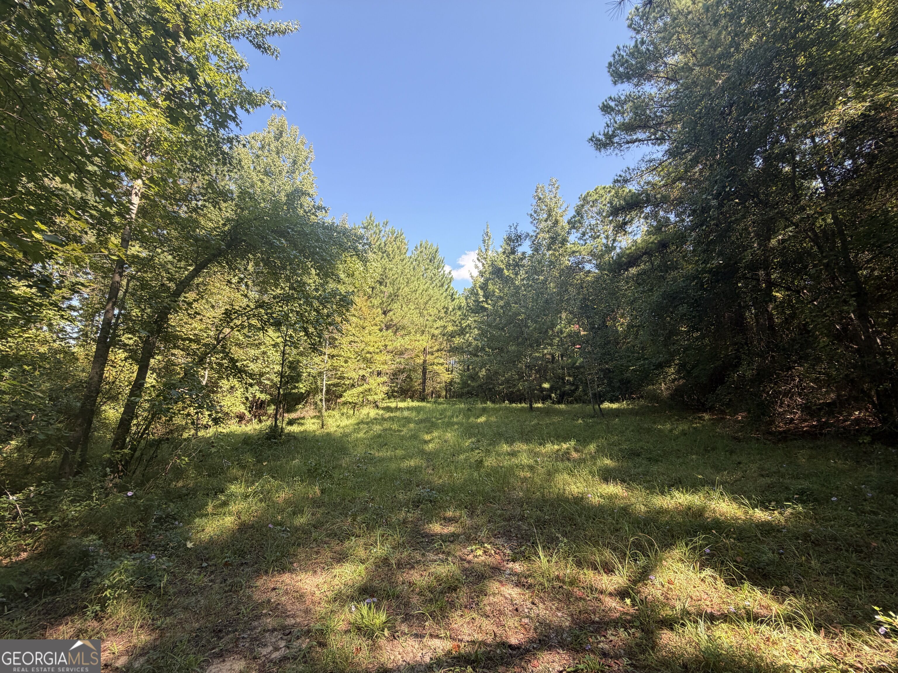 0 Highway 102 Property Photo 24
