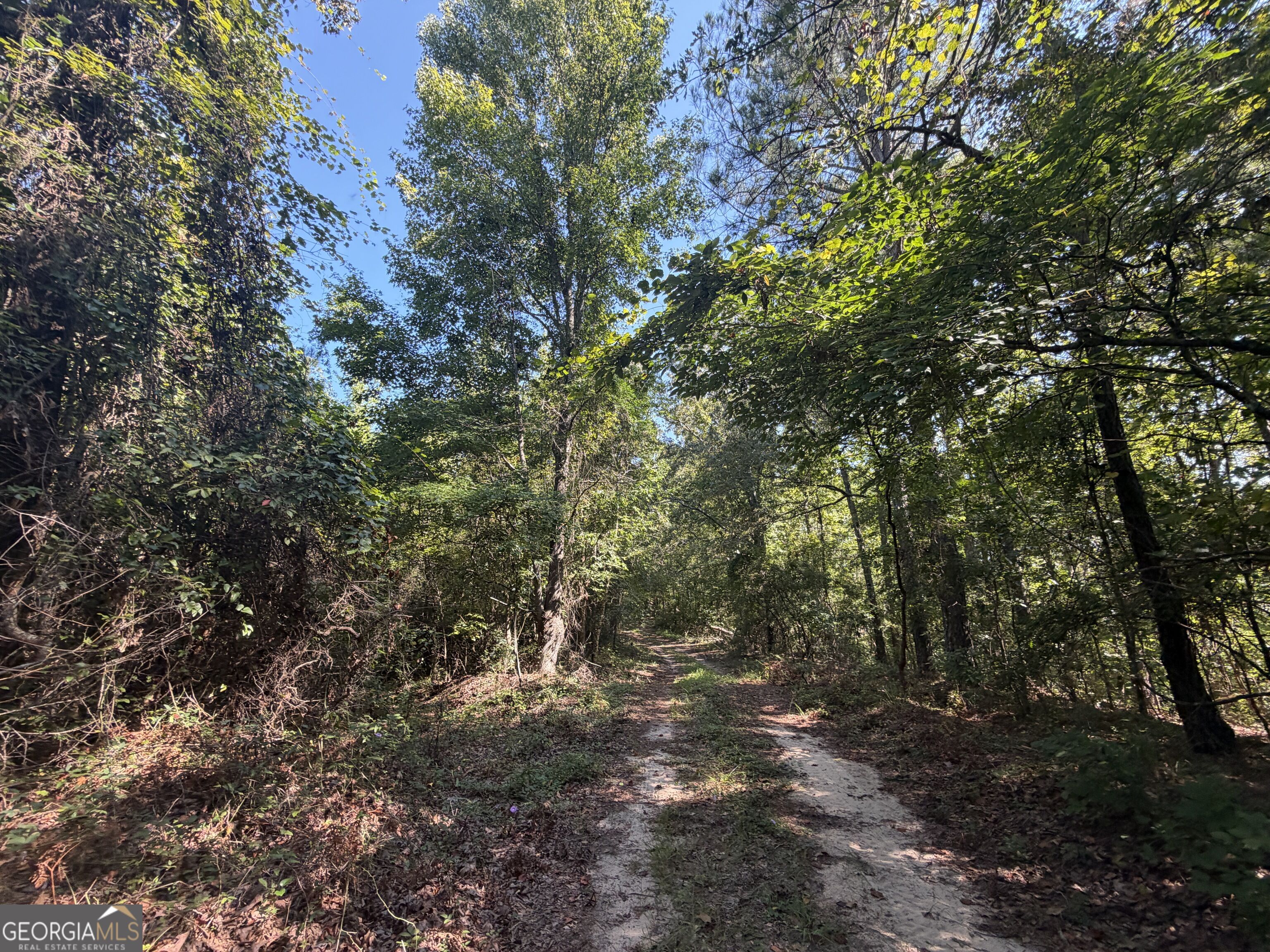 0 Highway 102 Property Photo 27