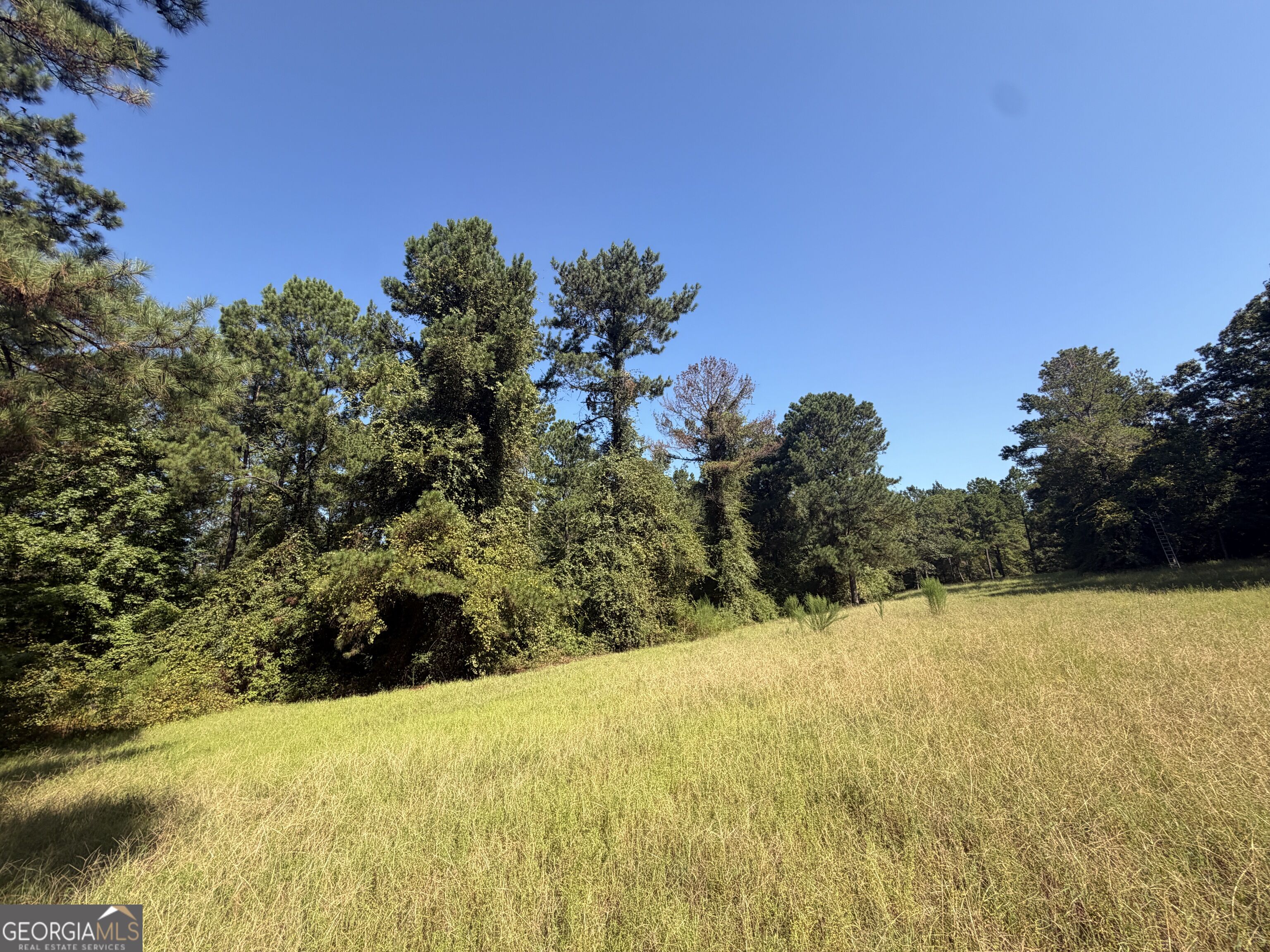 0 Highway 102 Property Photo 28