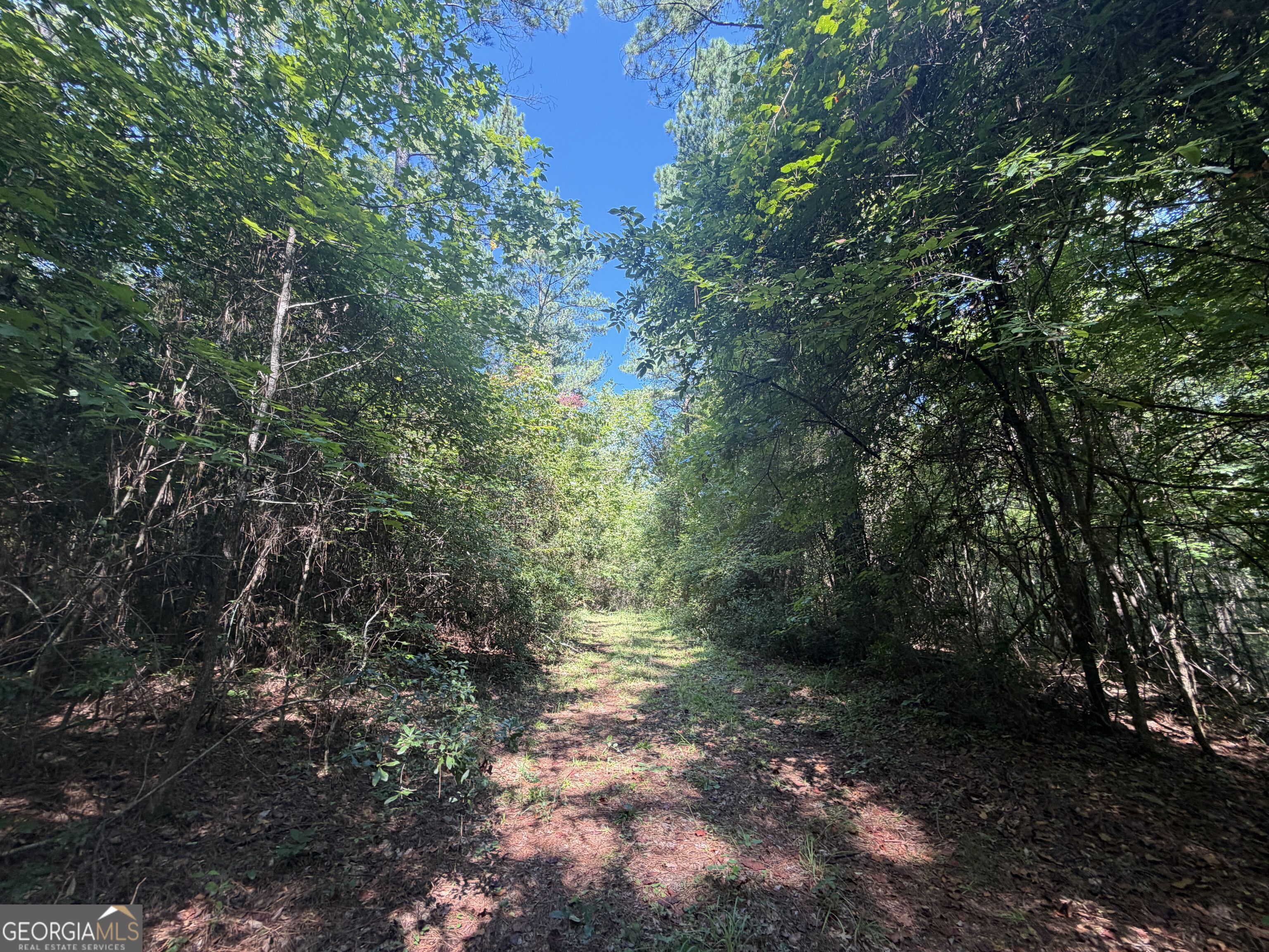 0 Highway 102 Property Photo 31