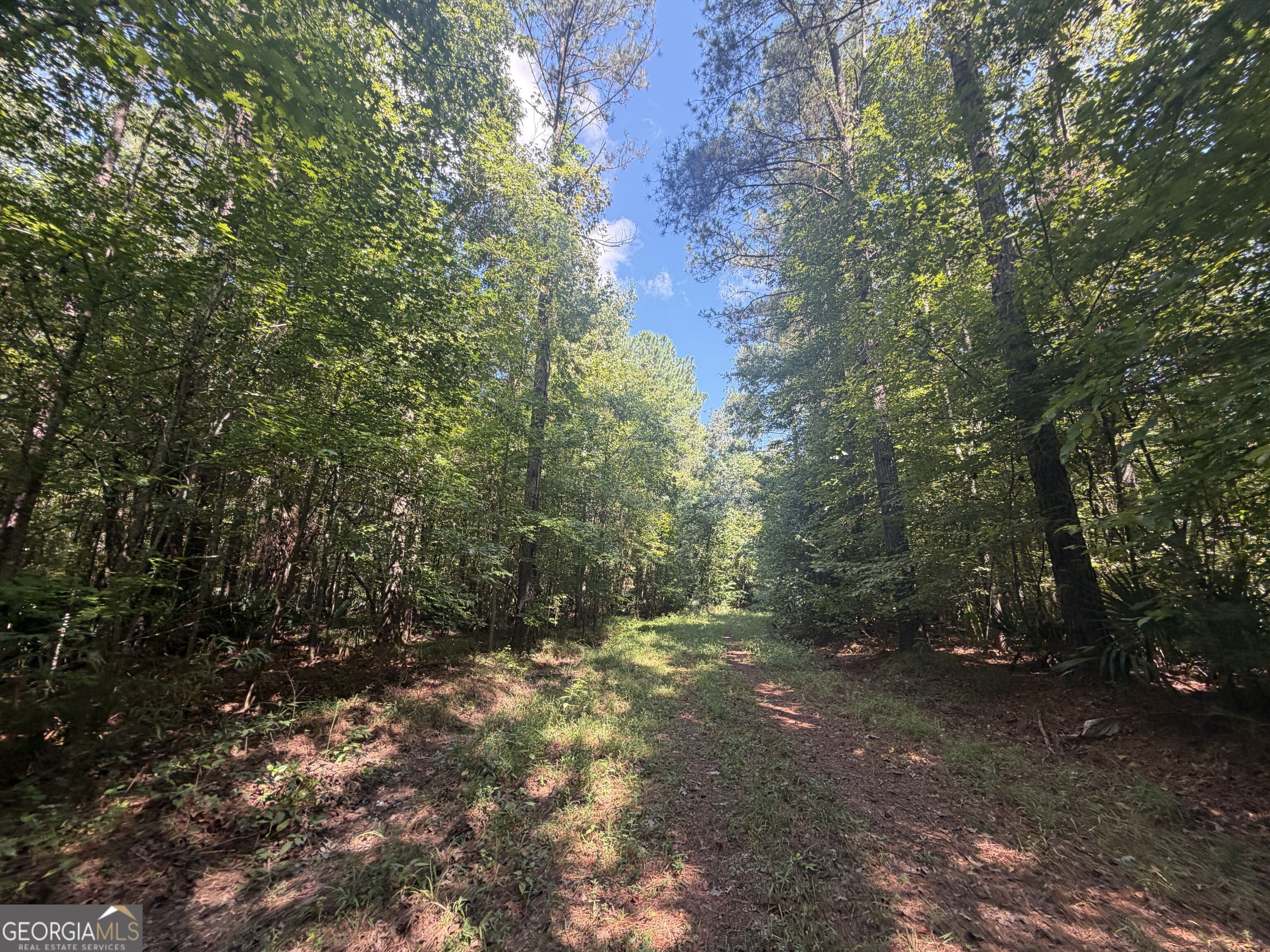 0 Highway 102 Property Photo 32