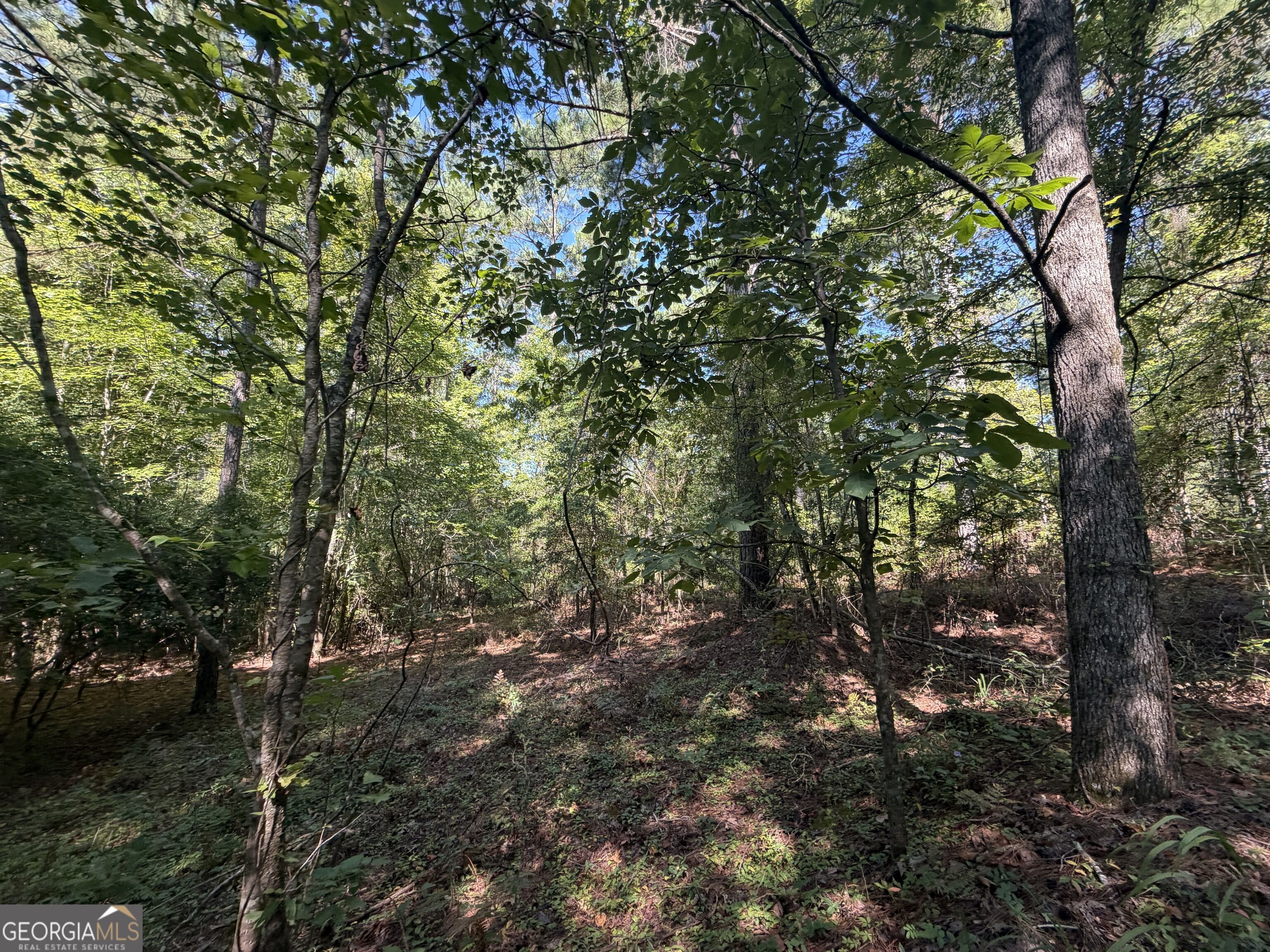 0 Highway 102 Property Photo 34