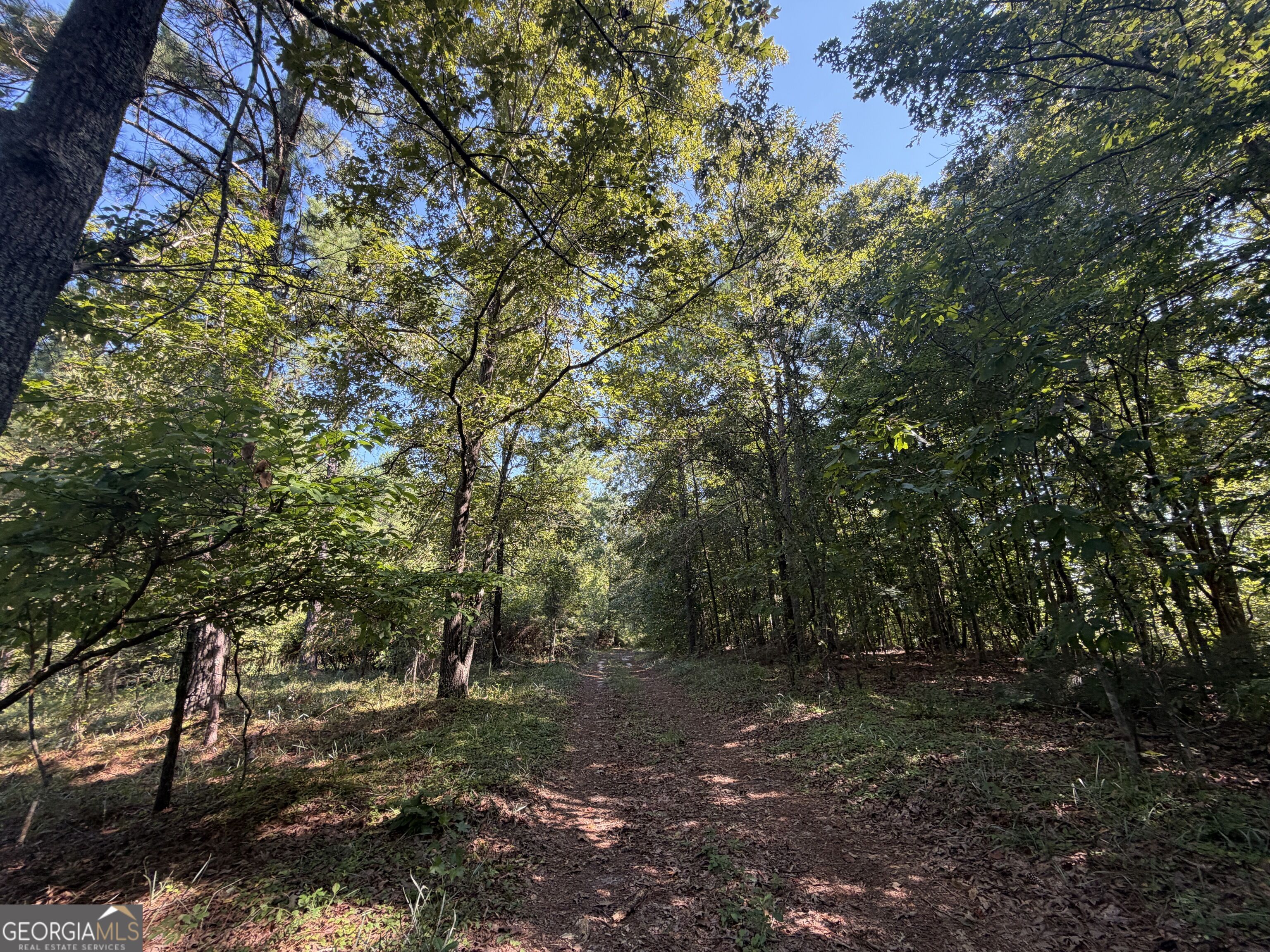 0 Highway 102 Property Photo 38