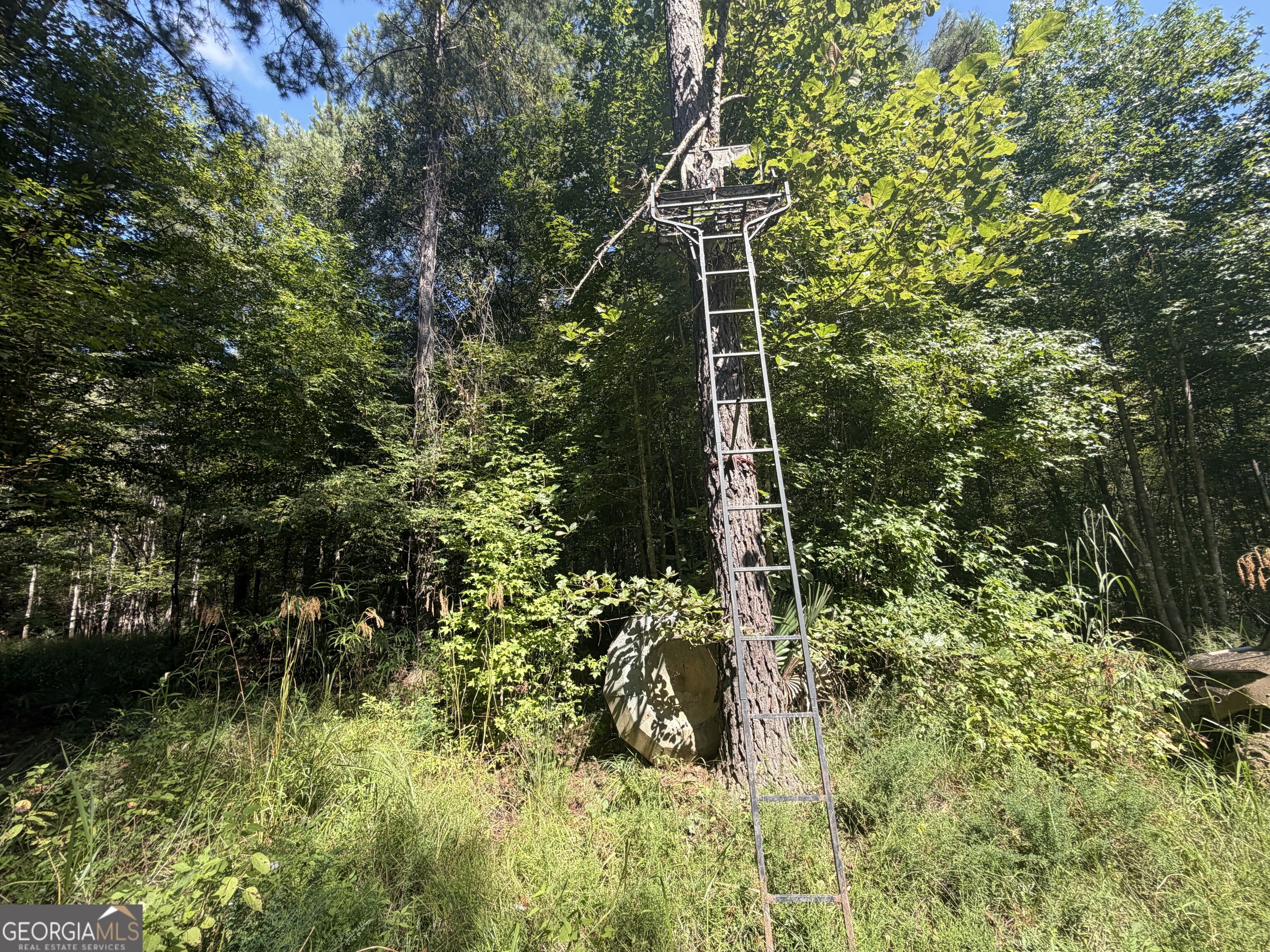 0 Highway 102 Property Photo 39