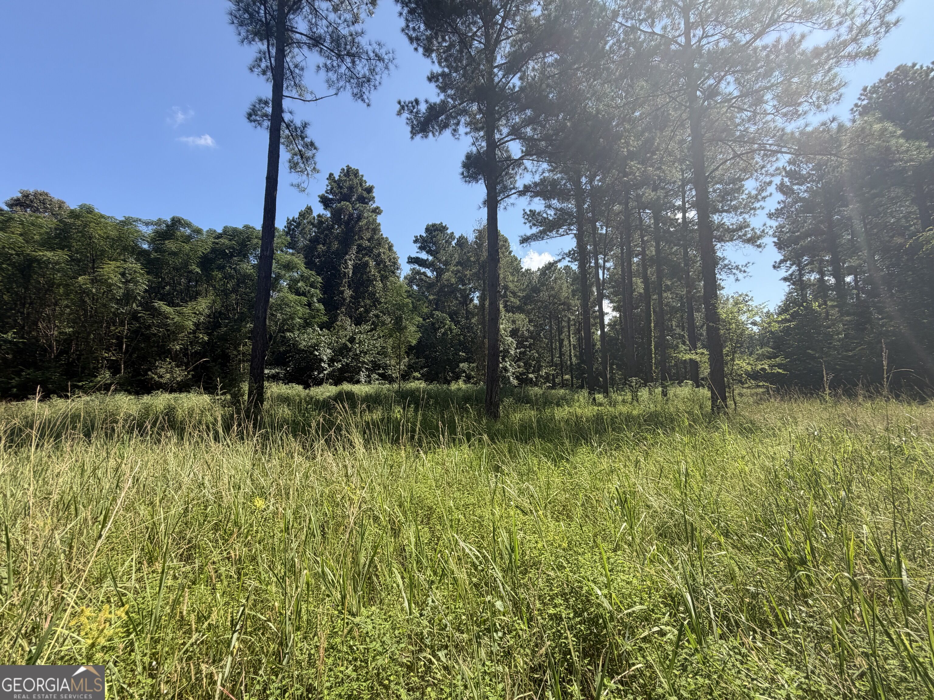 0 Highway 102 Property Photo 40