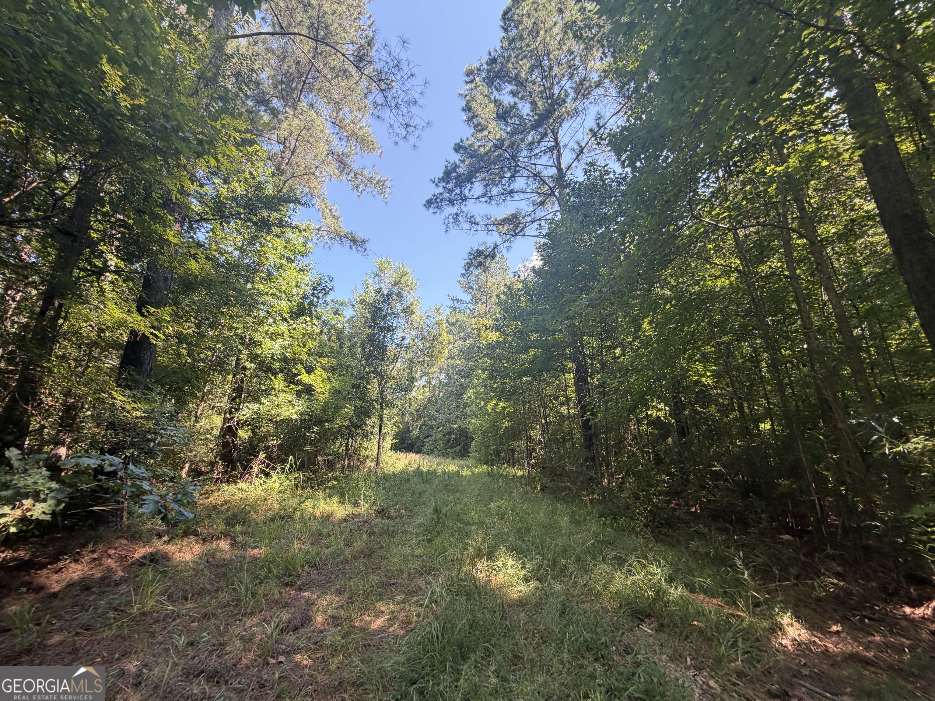 0 Highway 102 Property Photo 42