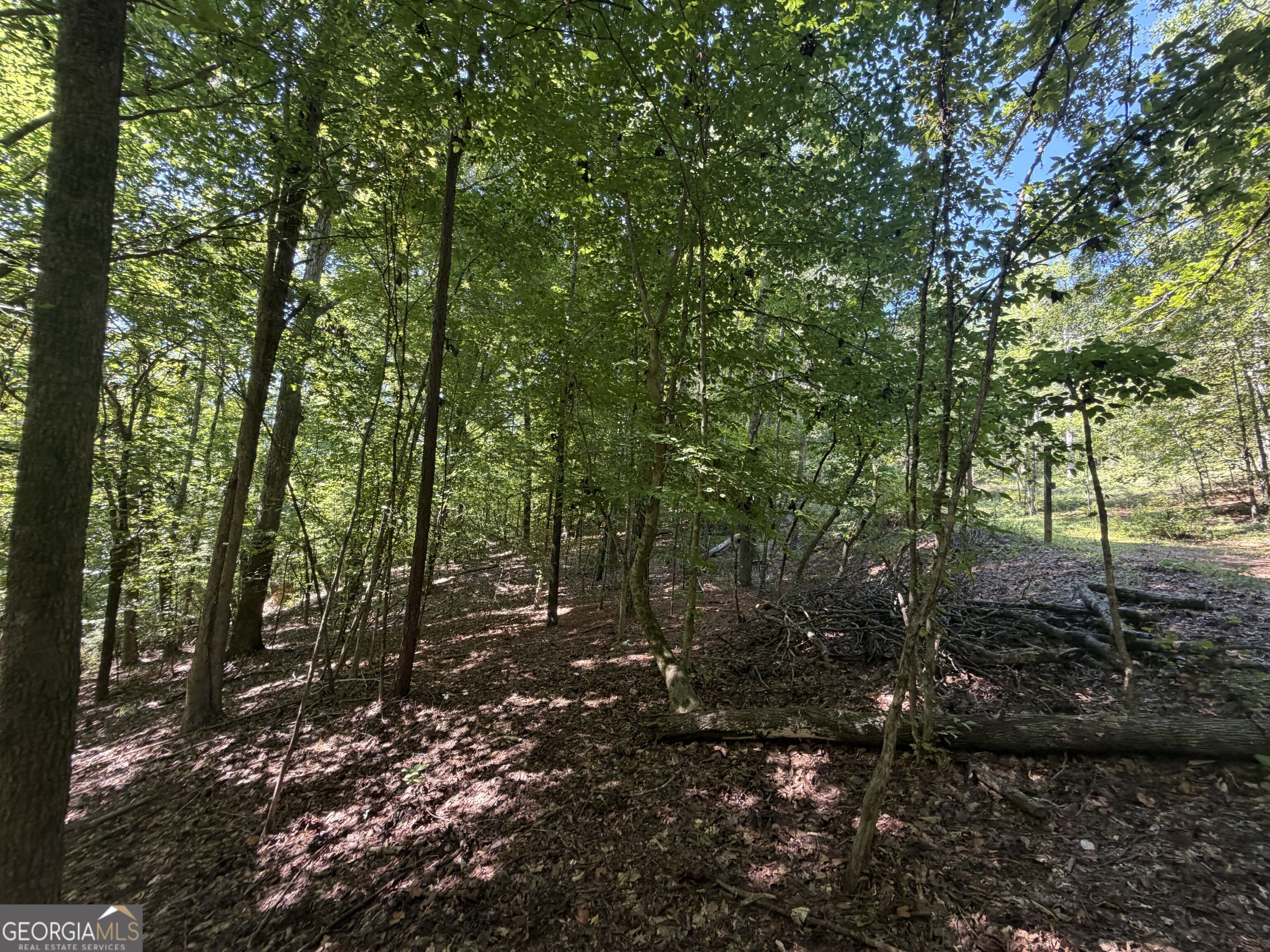 0 Highway 102 Property Photo 45