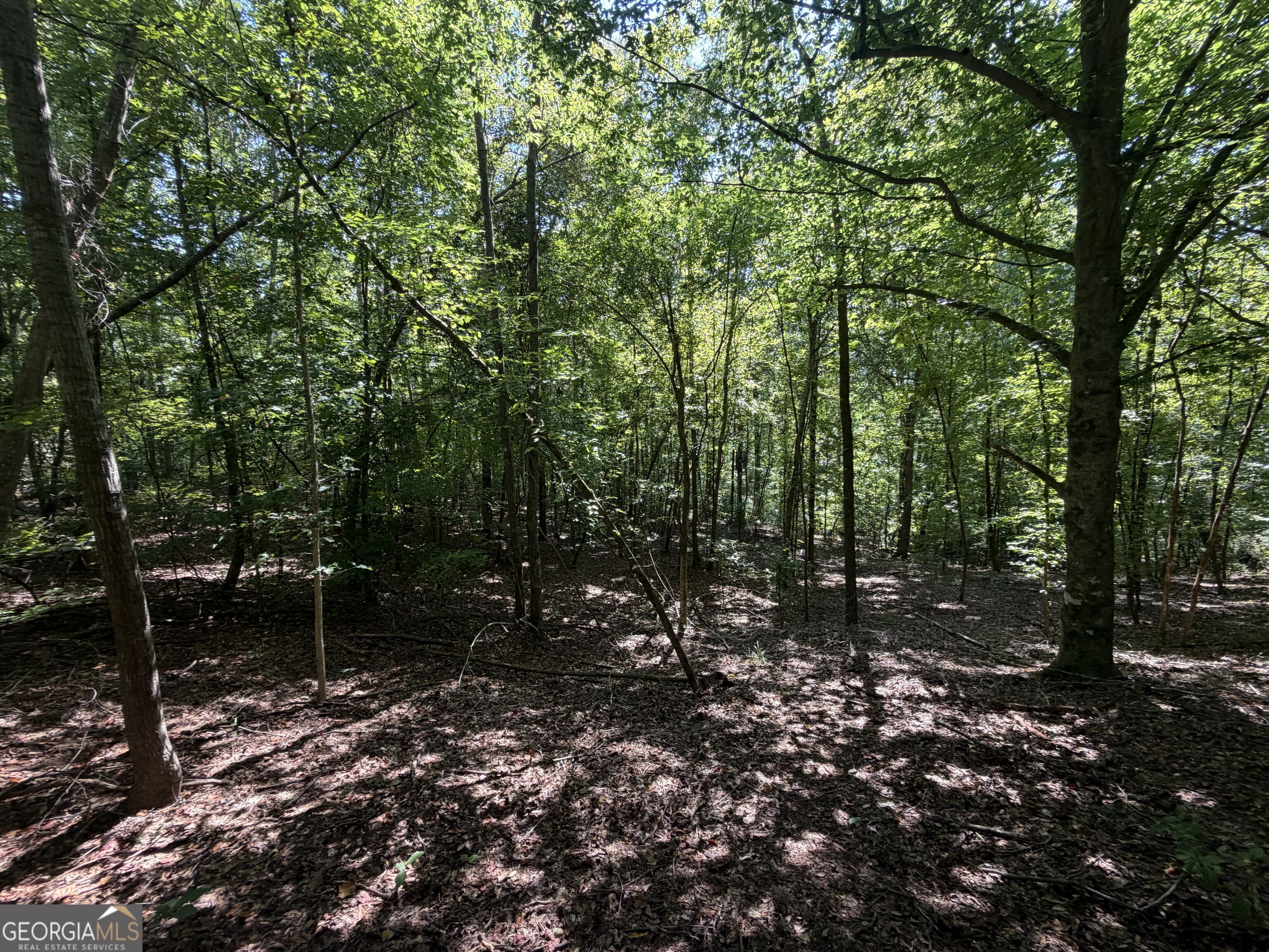 0 Highway 102 Property Photo 46