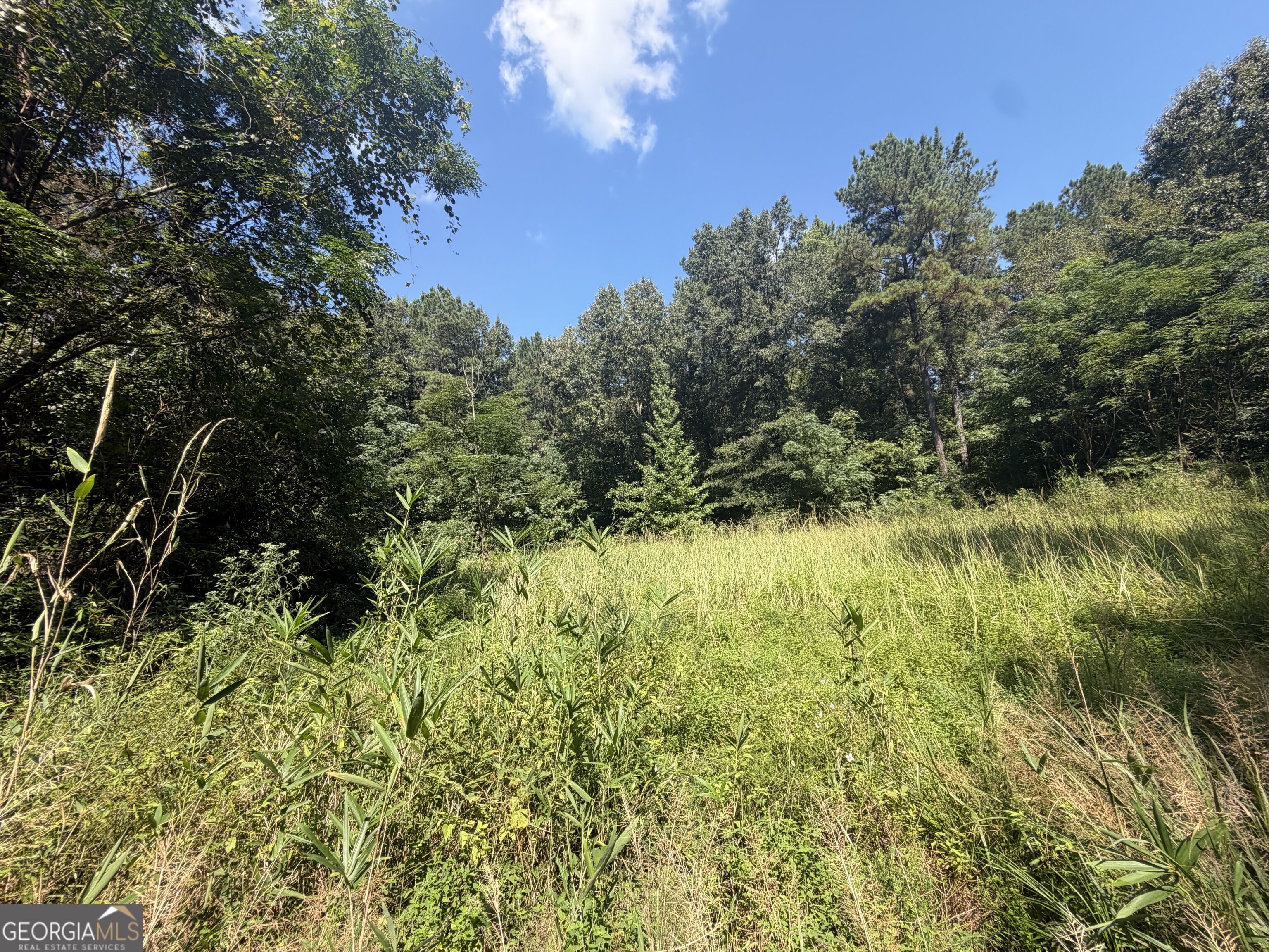0 Highway 102 Property Photo 47