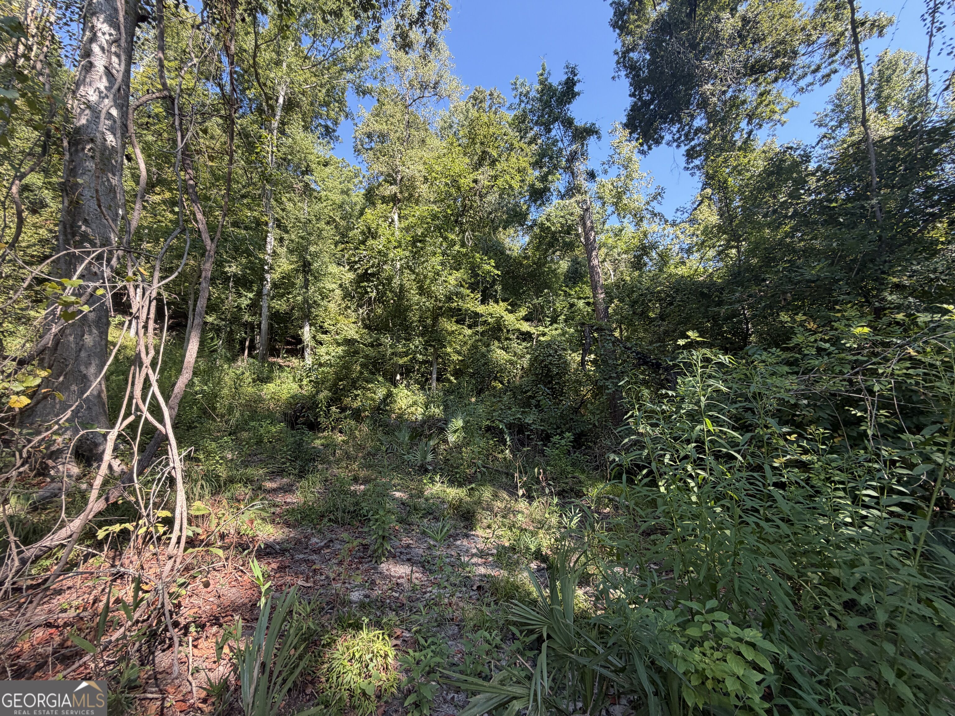 0 Highway 102 Property Photo 48