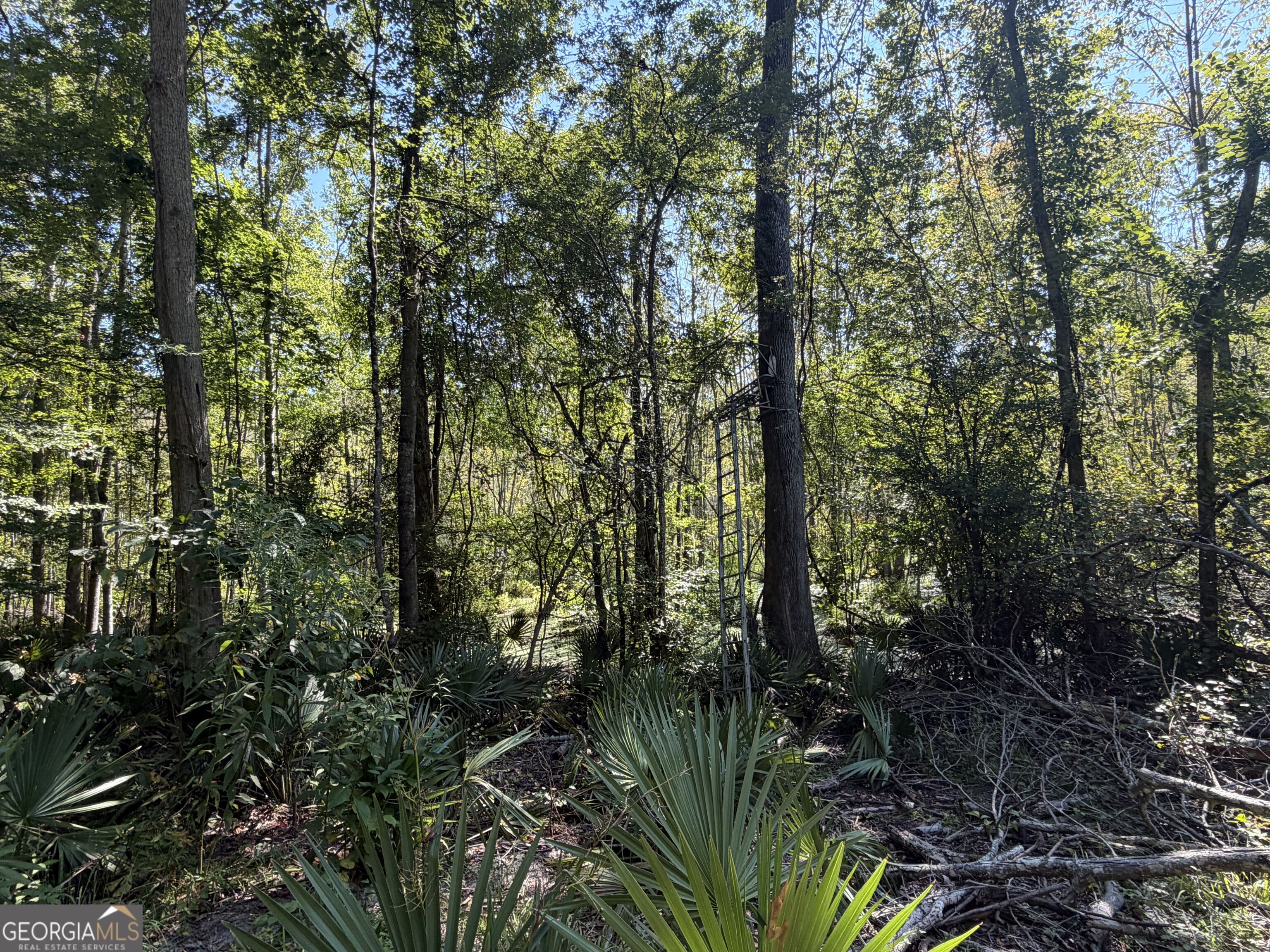 0 Highway 102 Property Photo 49