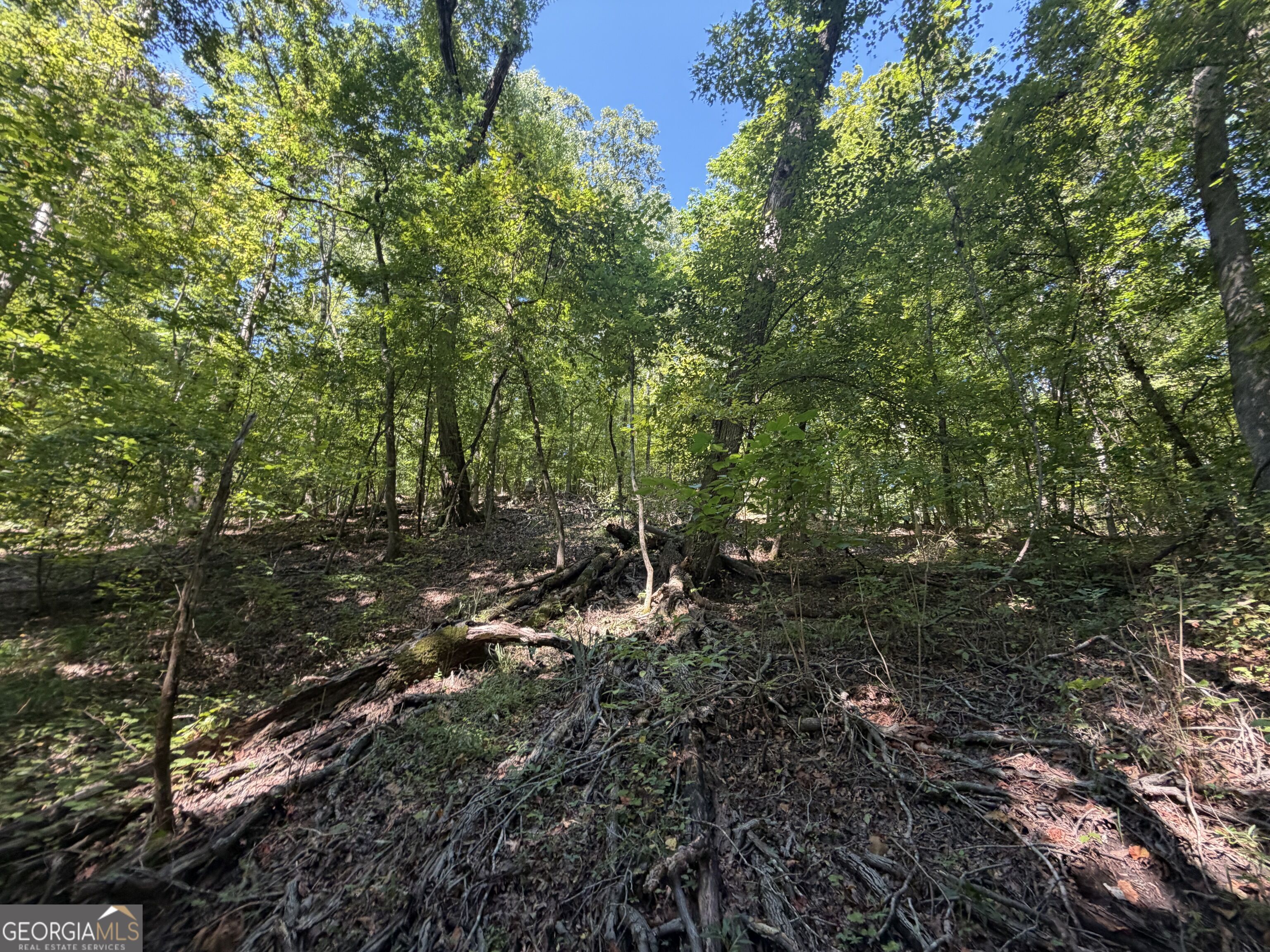 0 Highway 102 Property Photo 50
