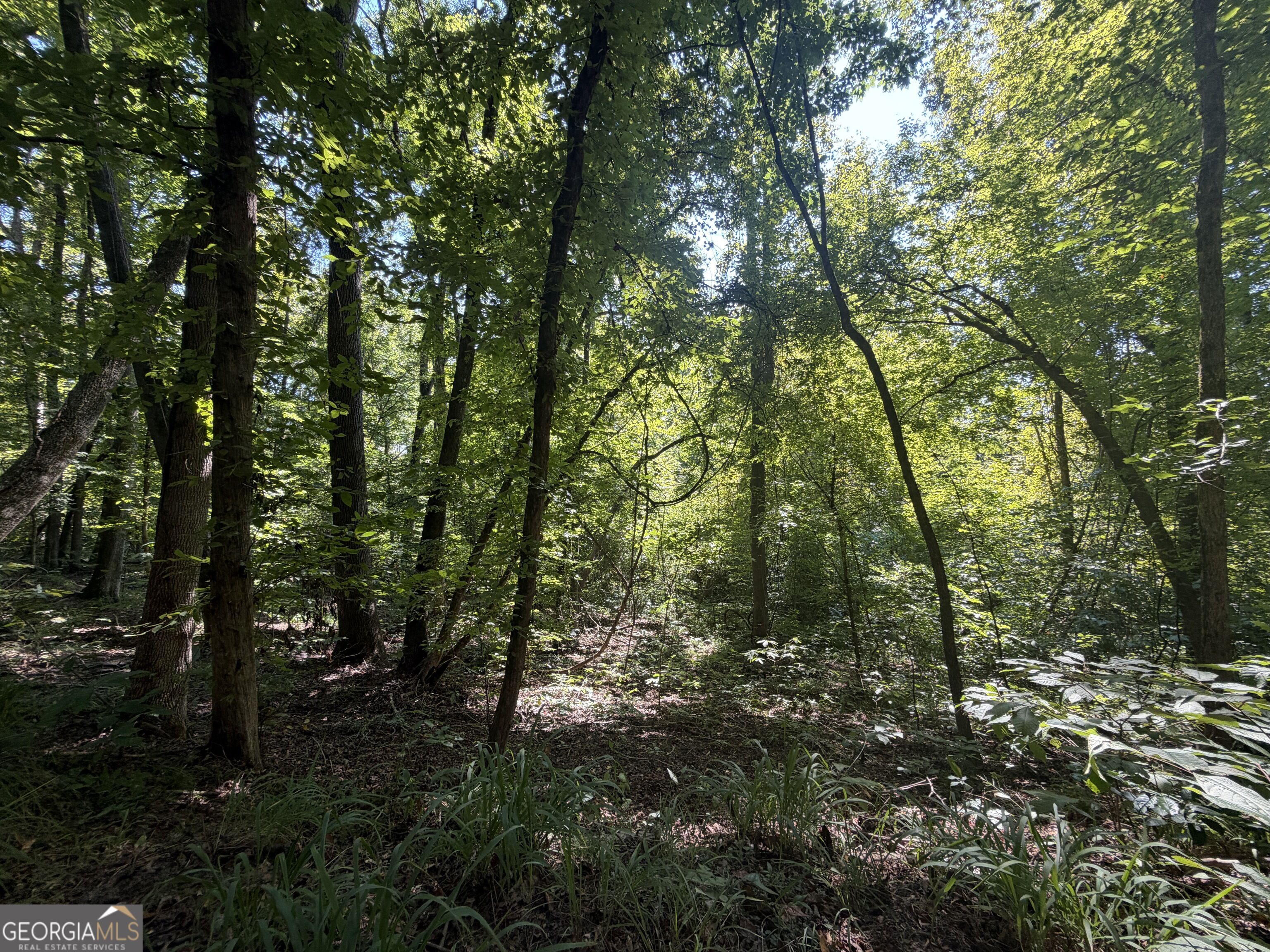0 Highway 102 Property Photo 51