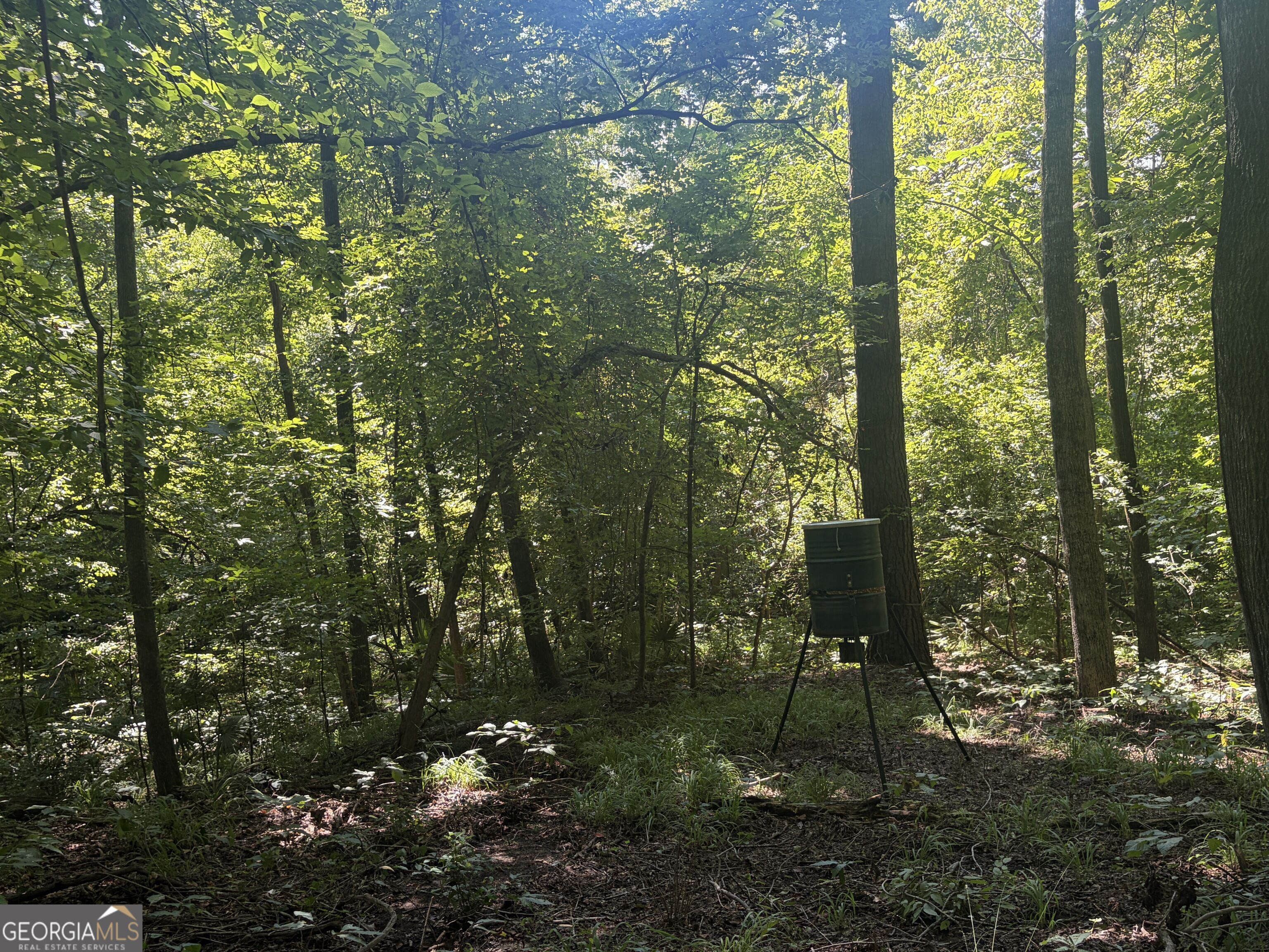 0 Highway 102 Property Photo 54