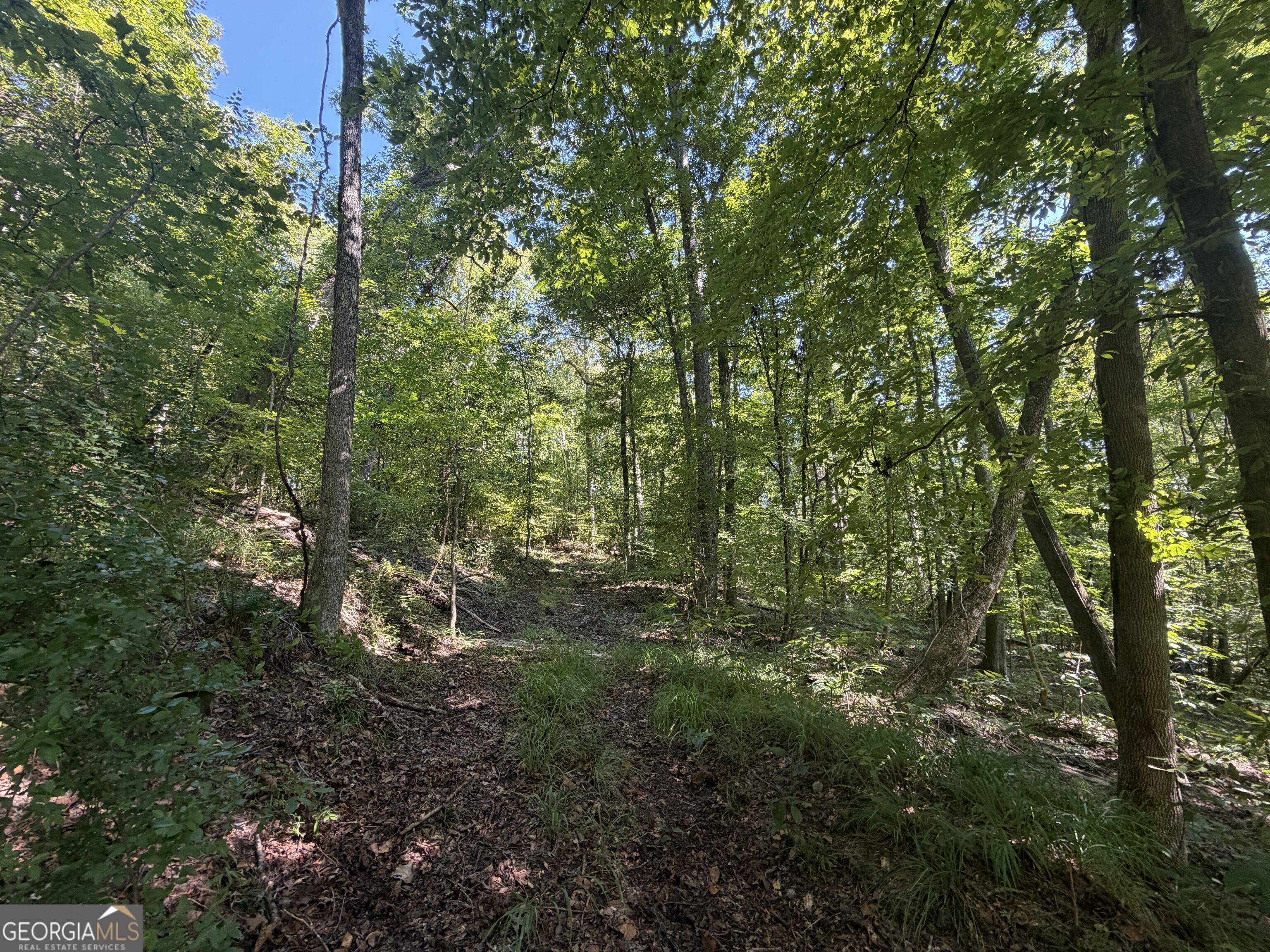 0 Highway 102 Property Photo 55
