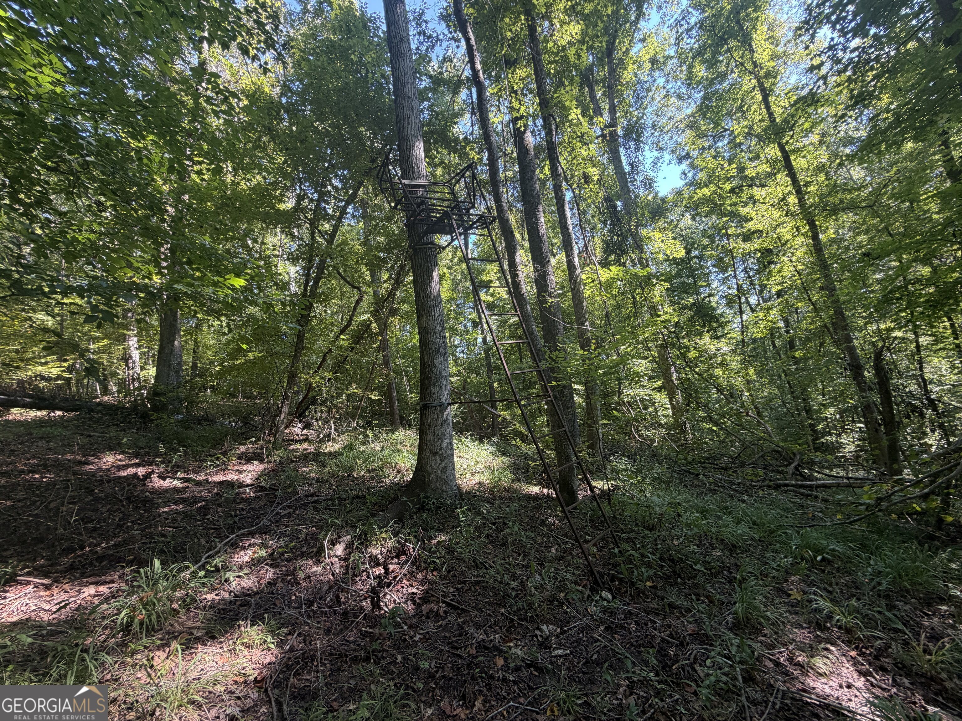 0 Highway 102 Property Photo 56
