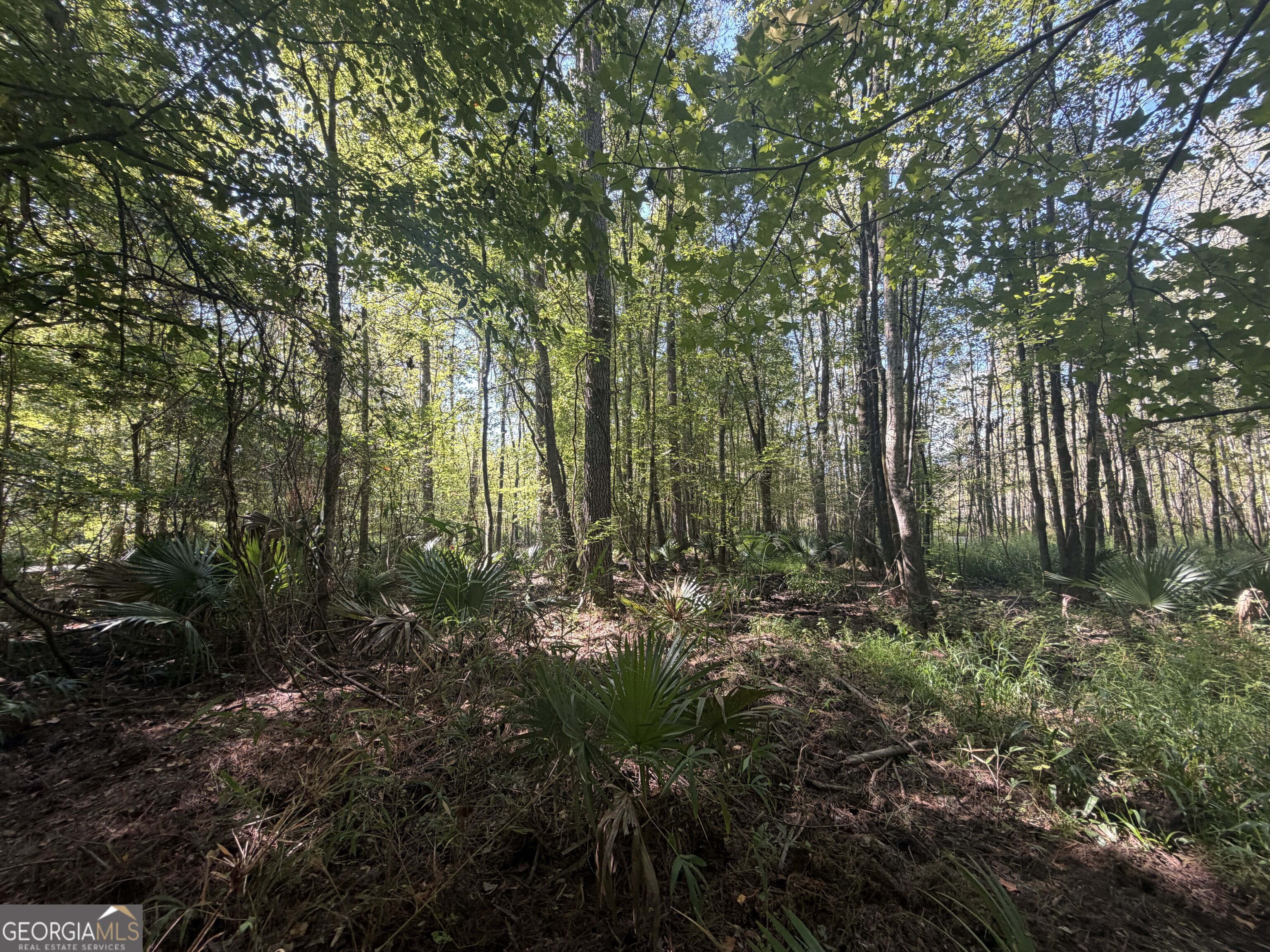 0 Highway 102 Property Photo 57