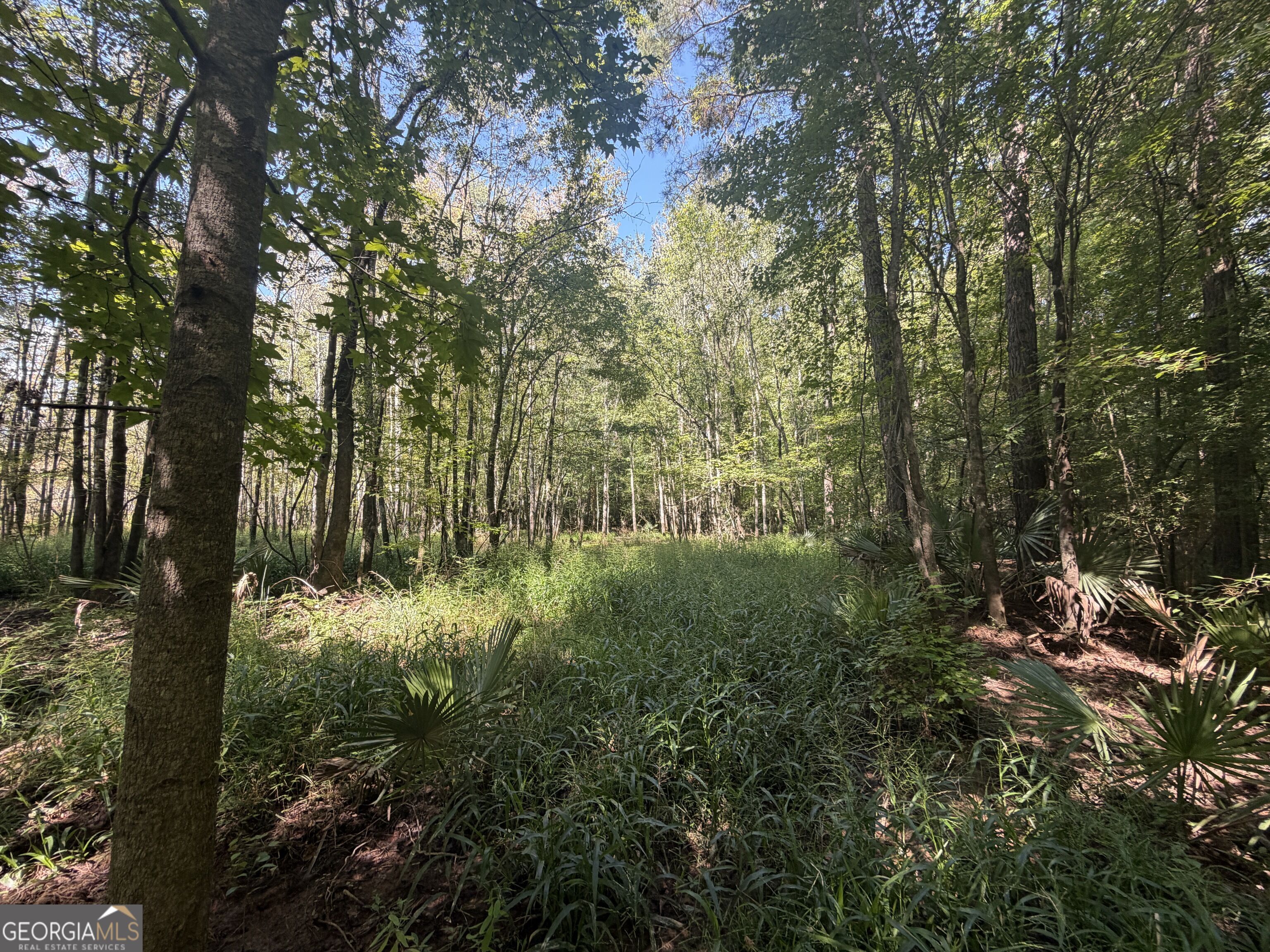 0 Highway 102 Property Photo 58