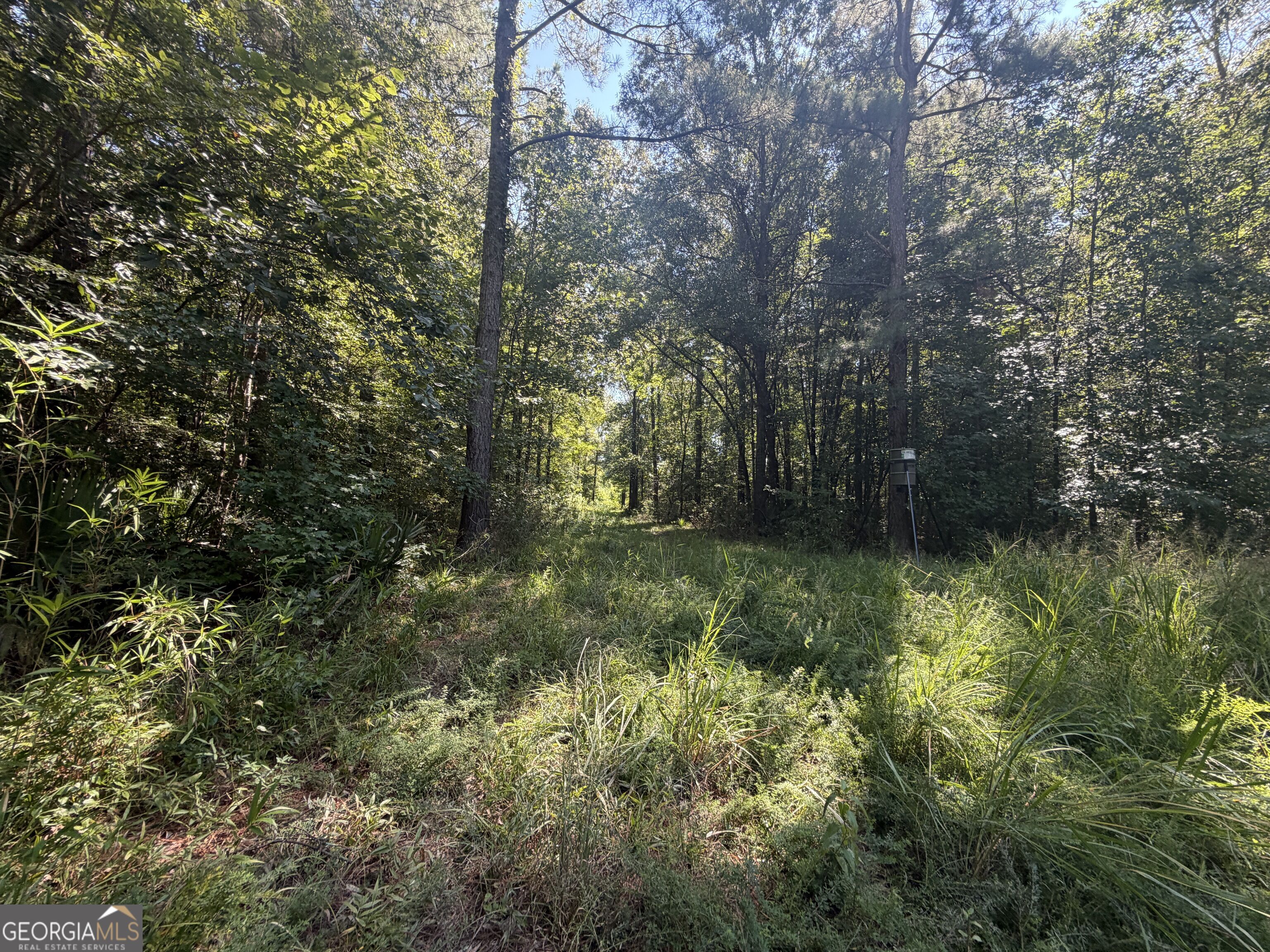 0 Highway 102 Property Photo 59